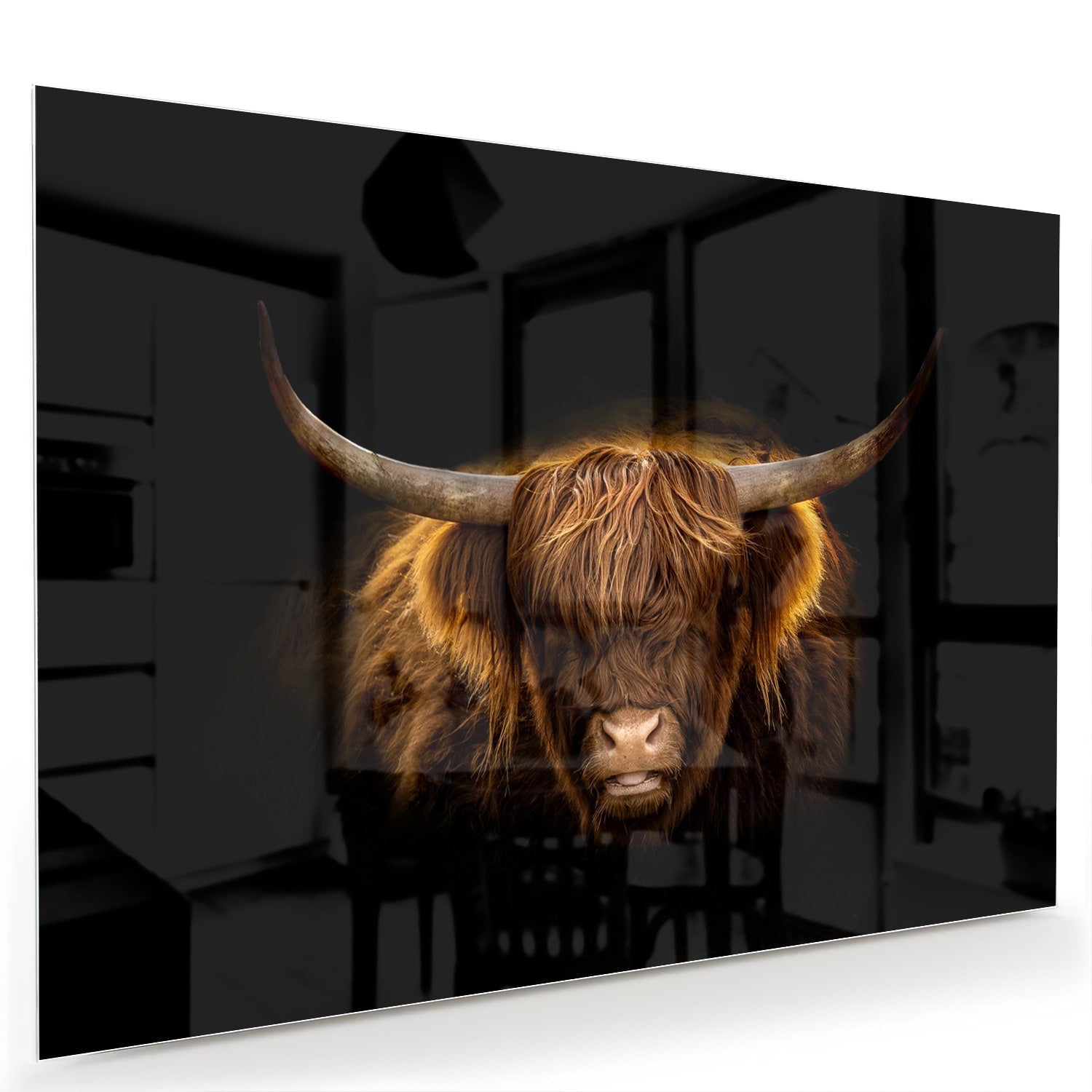 Beeindruckendes Glasbild mit Highland-Rind – Glasbild aus Sicherheitsglas, Größe 60x40