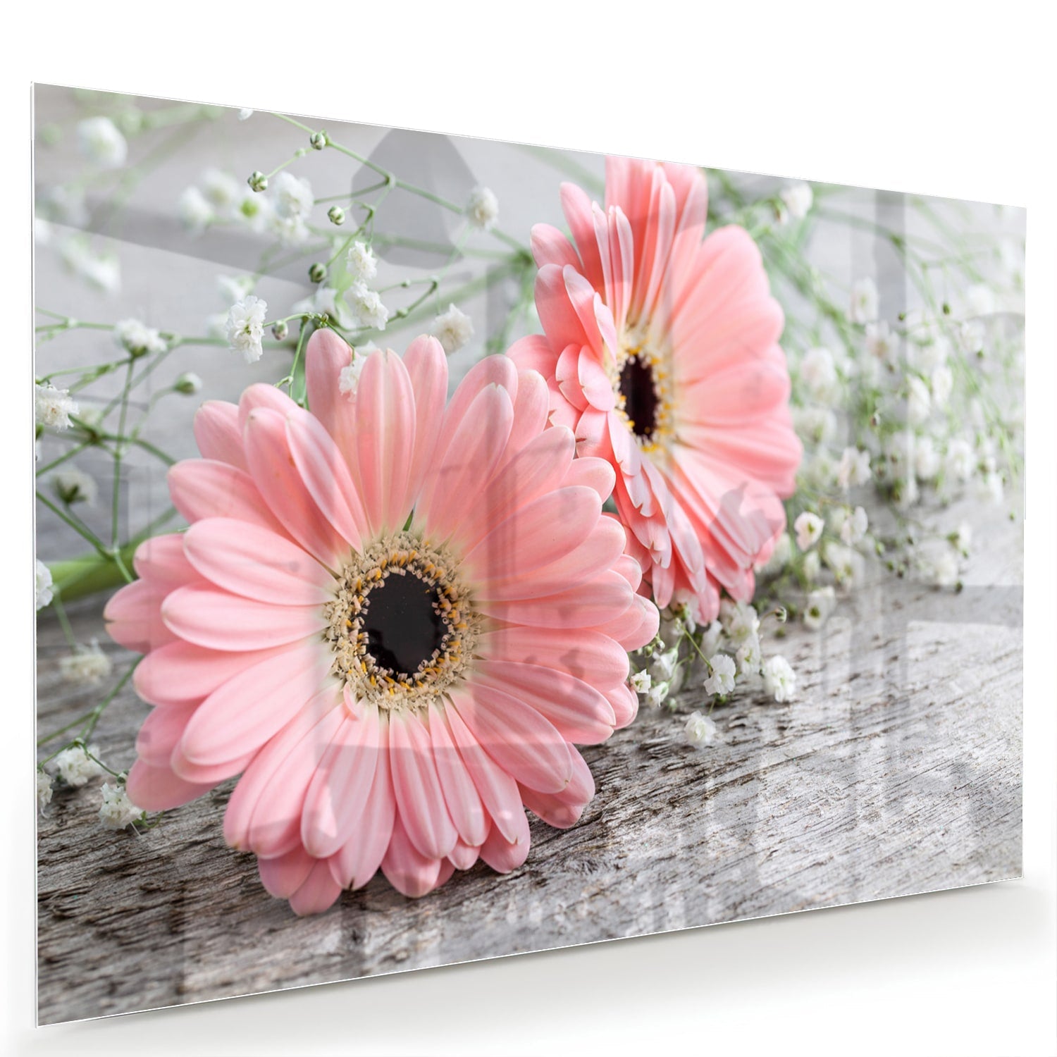 Rosafarbenes Gerbera-Glasbild für ein modernes Zuhause – Glasbild aus Sicherheitsglas, Größe 60x40