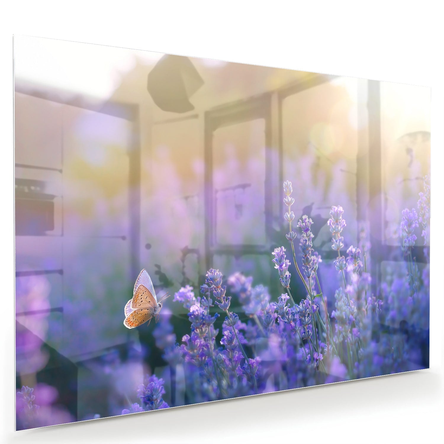 Glasbild mit violettem Lavendel und Schmetterling – Glasbild aus Sicherheitsglas, Größe 60x40