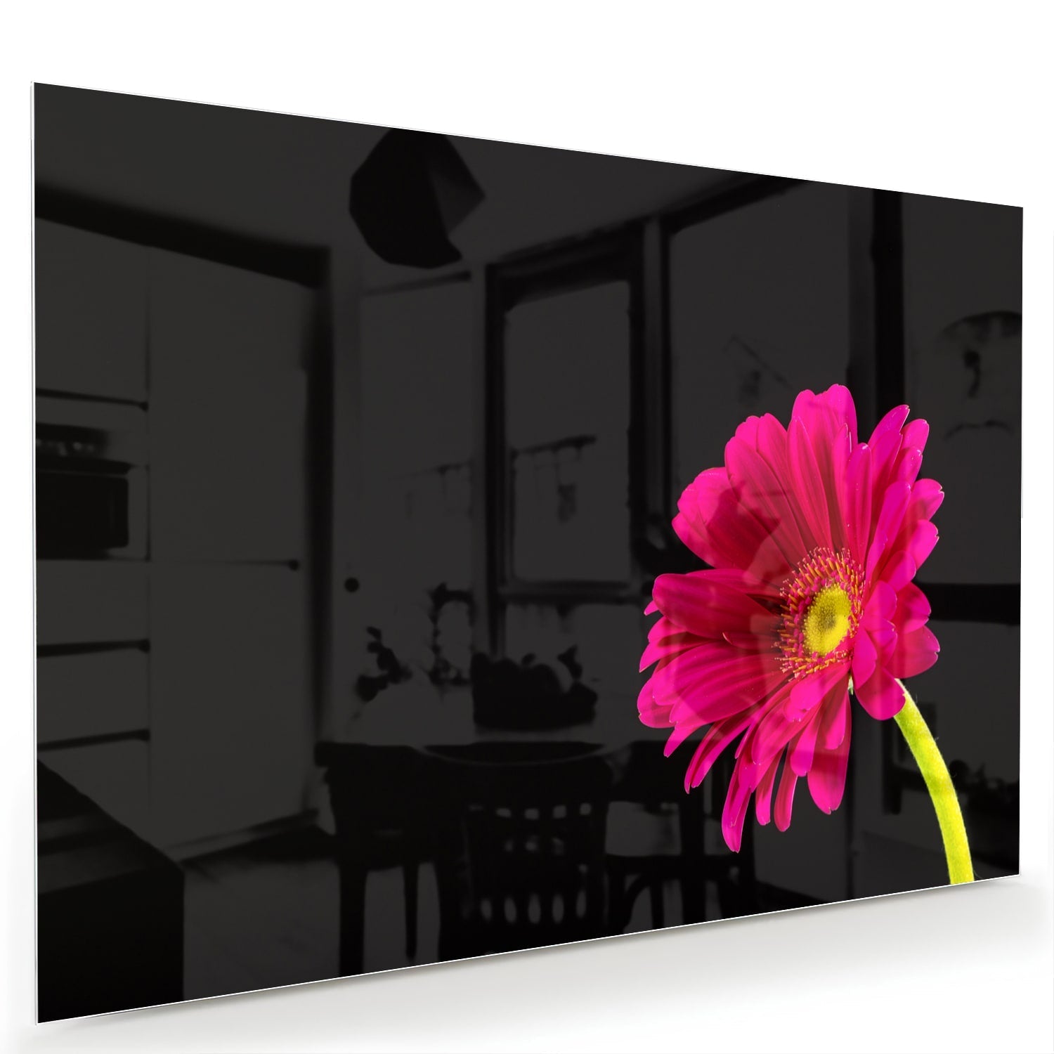 Glasbild – Wunderschöne rosa Gerbera auf schwarzem Hintergrund – Glasbild aus Sicherheitsglas, Größe 60x40
