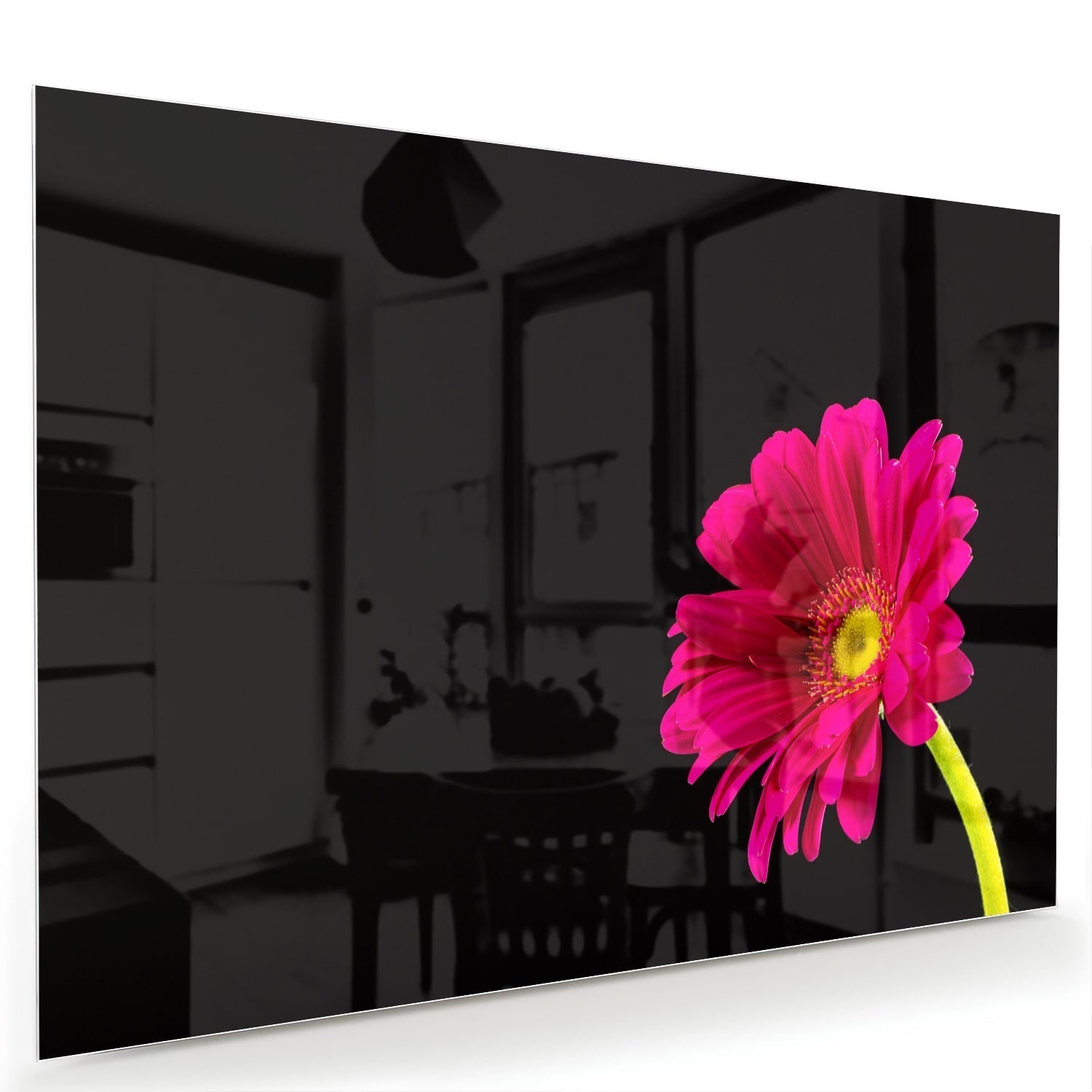 Wunderschönes rosa Gerbera auf schwarz Glasbild als moderne Glas-Wanddekoration aus 4 mm Sicherheitsglas