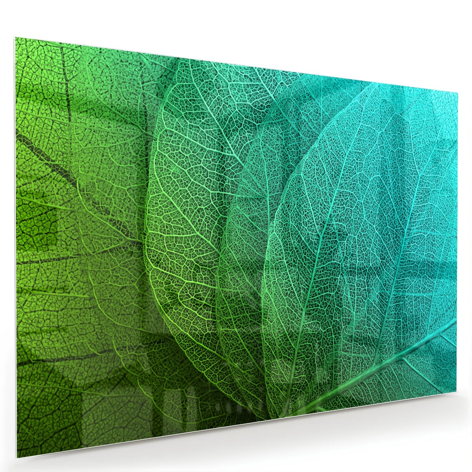 Glasbild mit strukturierter Oberfläche aus grünen Blättern – Glasbild aus Sicherheitsglas, Größe 60x40
