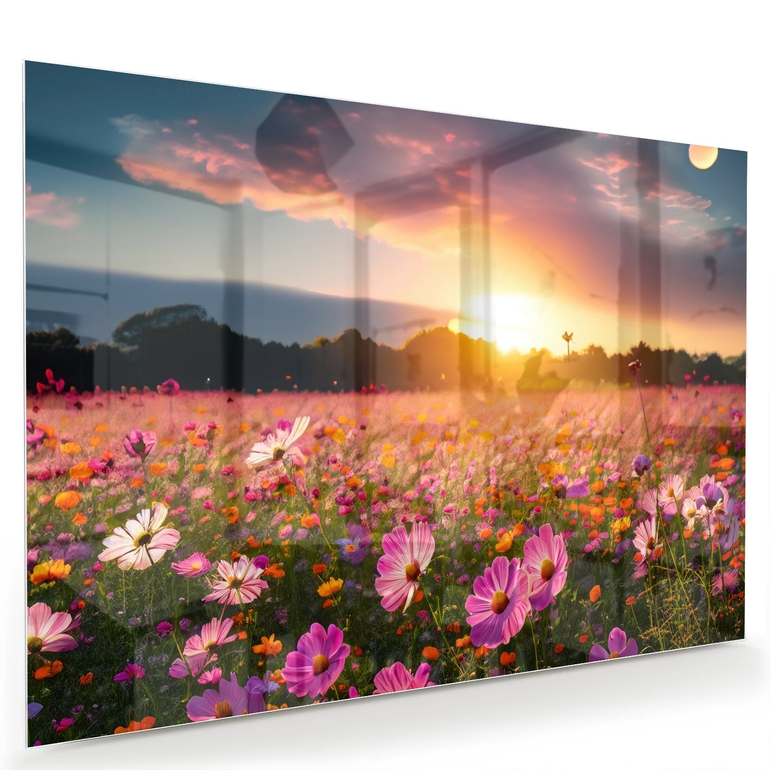 Glasbild – Sonnenuntergang über Blumenfeld – Glasbild aus Sicherheitsglas, Größe 60x40
