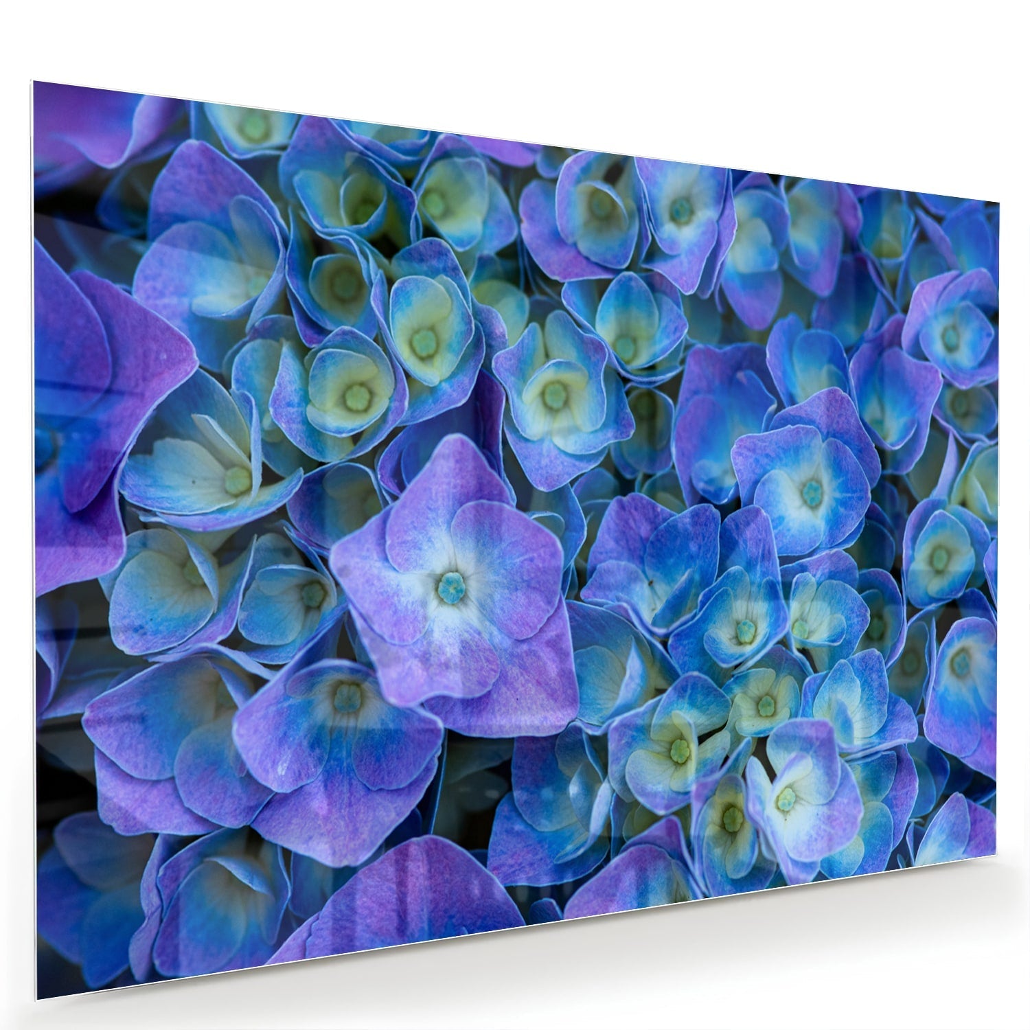 Farbenfrohes Glasbild mit blauen Blumen – Glasbild aus Sicherheitsglas, Größe 60x40