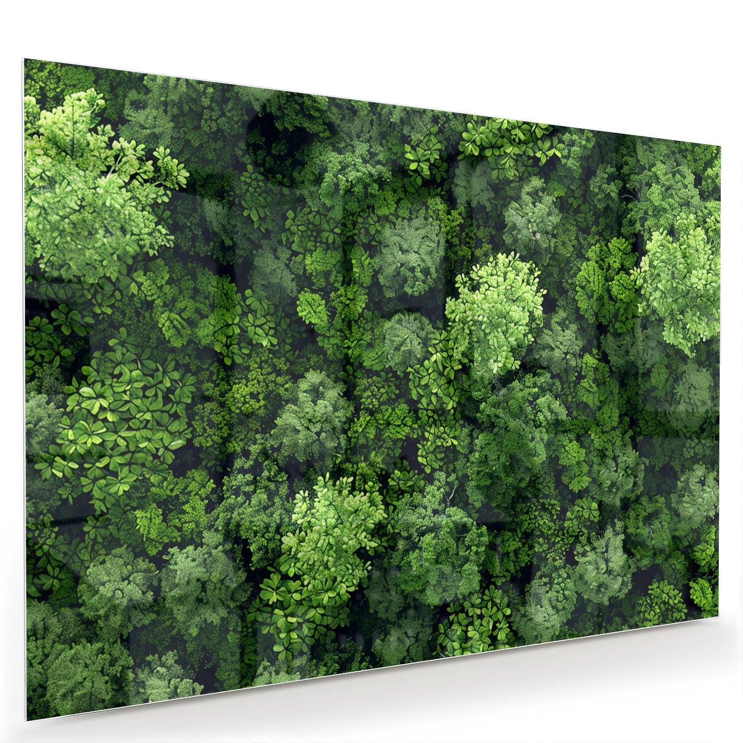 Glasbild mit Himmelsmotiv und üppigem grünen Wald – Glasbild aus Sicherheitsglas, Größe 60x40