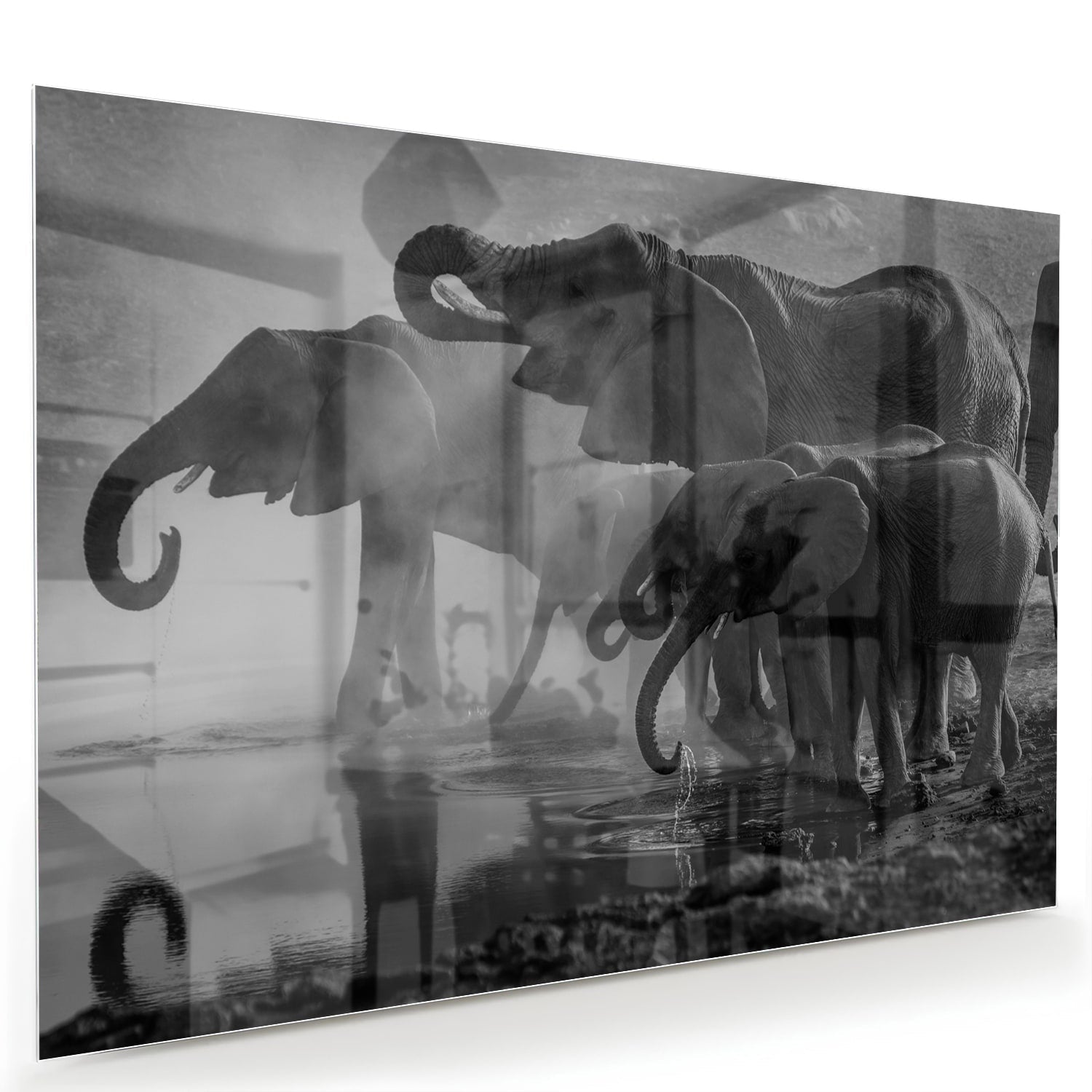 Glasbild mit majestätischen Elefanten – Glasbild aus Sicherheitsglas, Größe 60x40