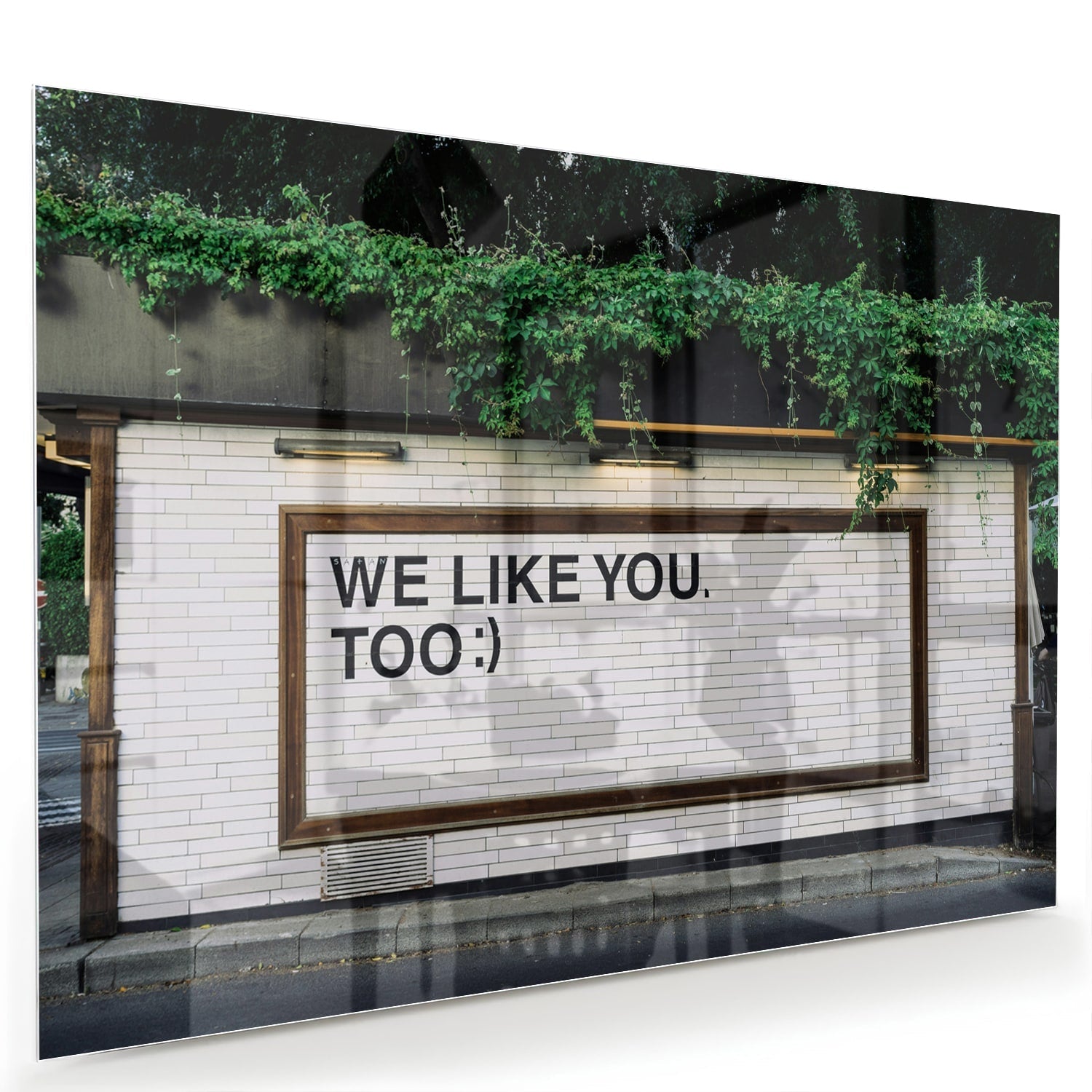 Glasbild 'We Like You Too' mit Pflanzen – Glasbild aus Sicherheitsglas, Größe 60x40