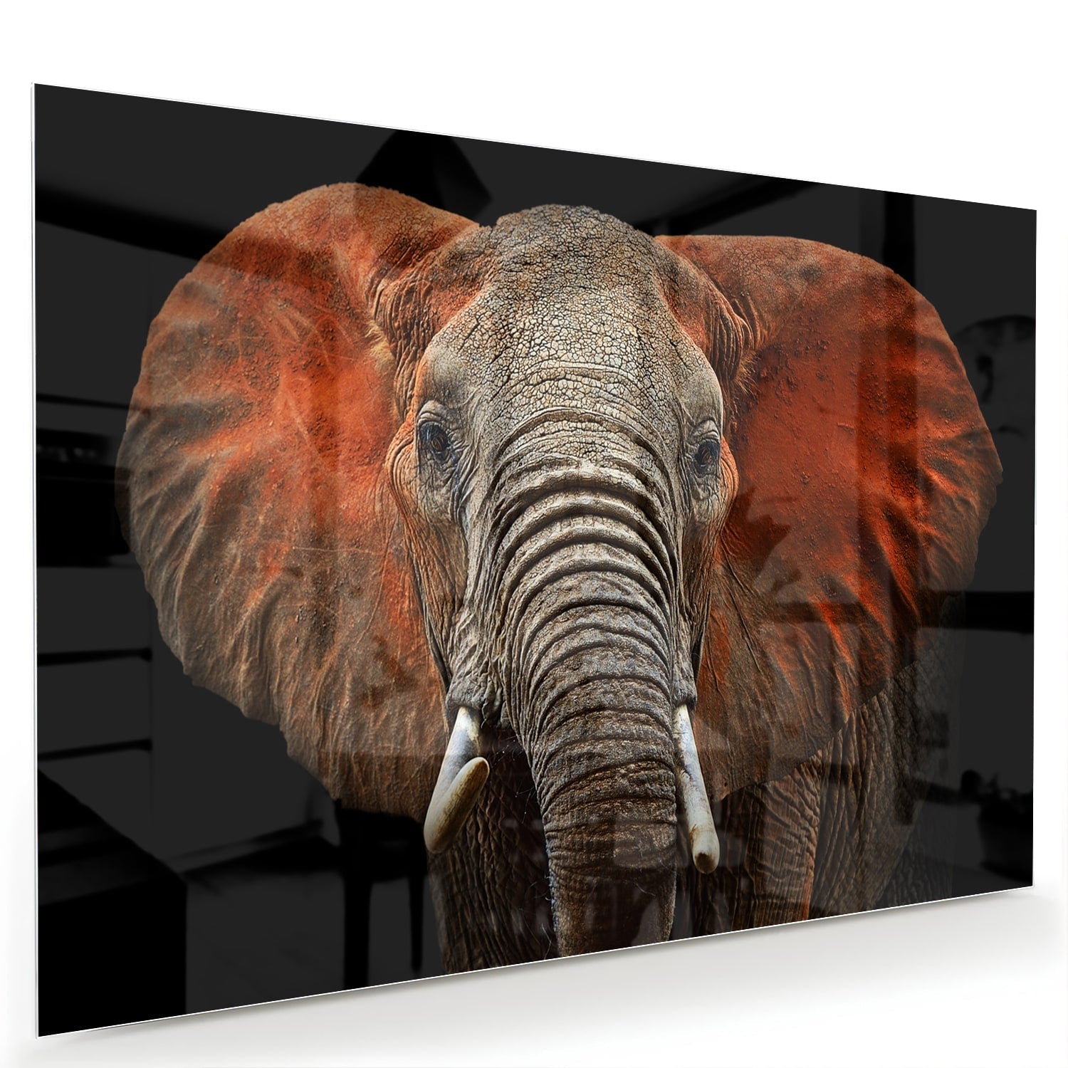 Beeindruckendes Glasbild mit einem Elefanten – Glasbild aus Sicherheitsglas, Größe 60x40