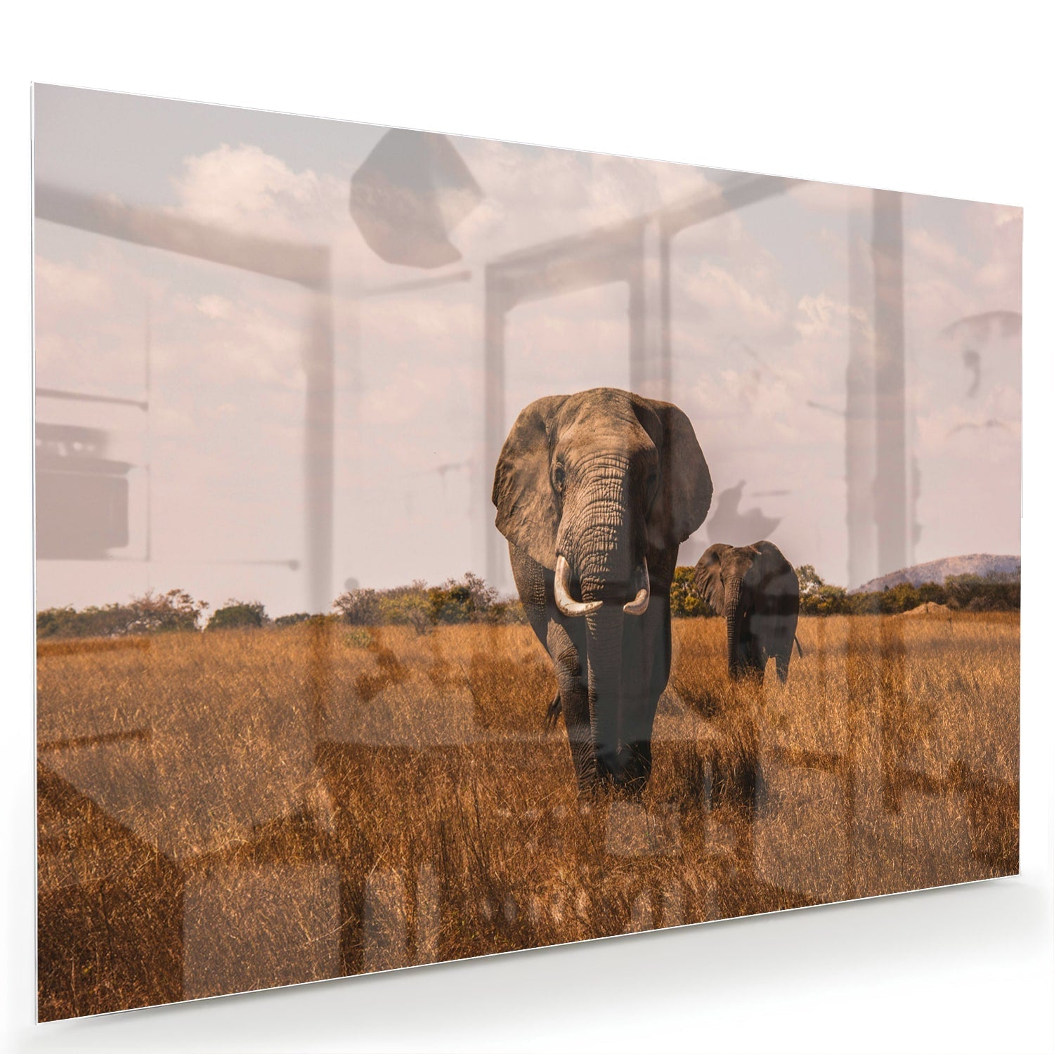 Wunderschönes Glasbild mit Elefanten in der Natur – Glasbild aus Sicherheitsglas, Größe 60x40