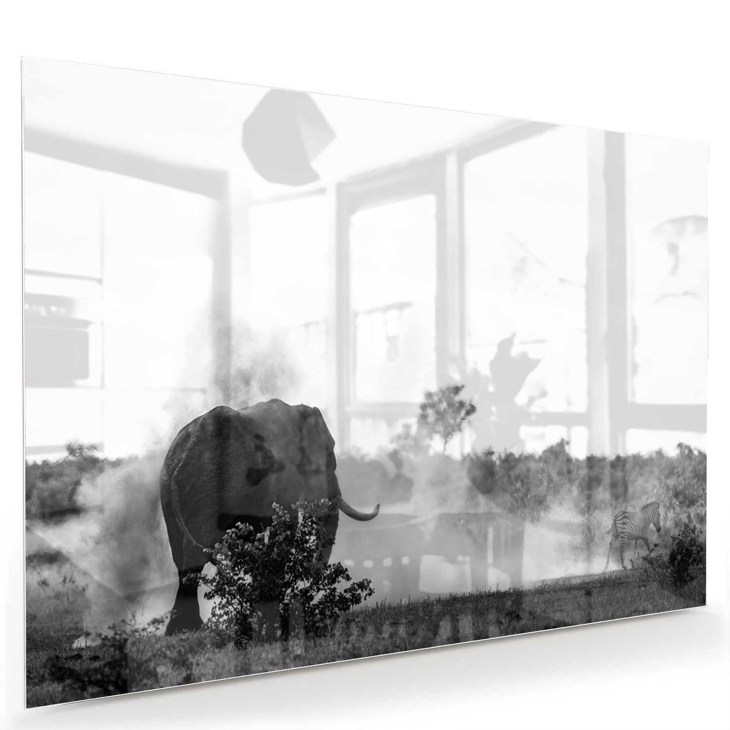 Elegantes Schwarz-Weiß-Glasbild mit einem Elefanten – Glasbild aus Sicherheitsglas, Größe 60x40