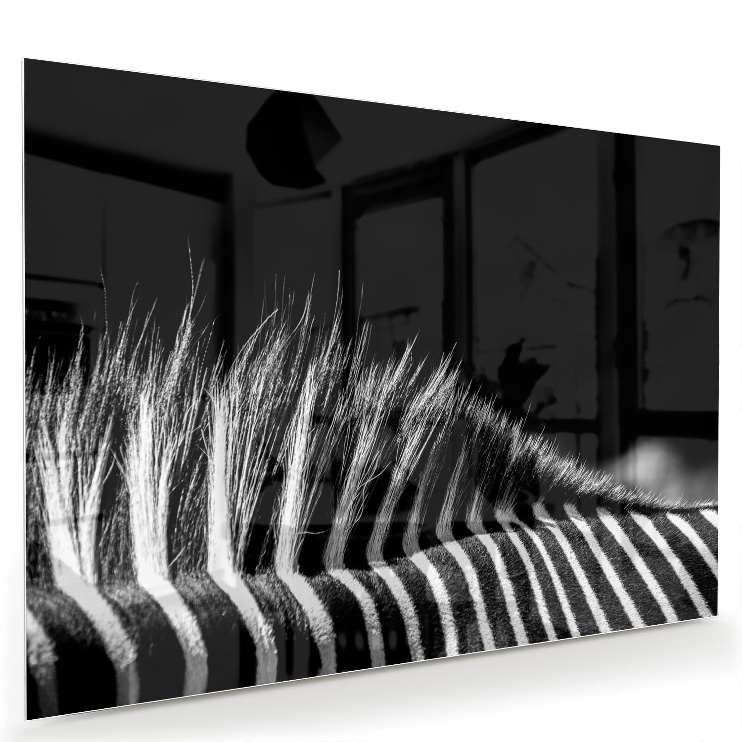 Modernes Schwarz-Weiß-Glasbild – Glasbild aus Sicherheitsglas, Größe 60x40