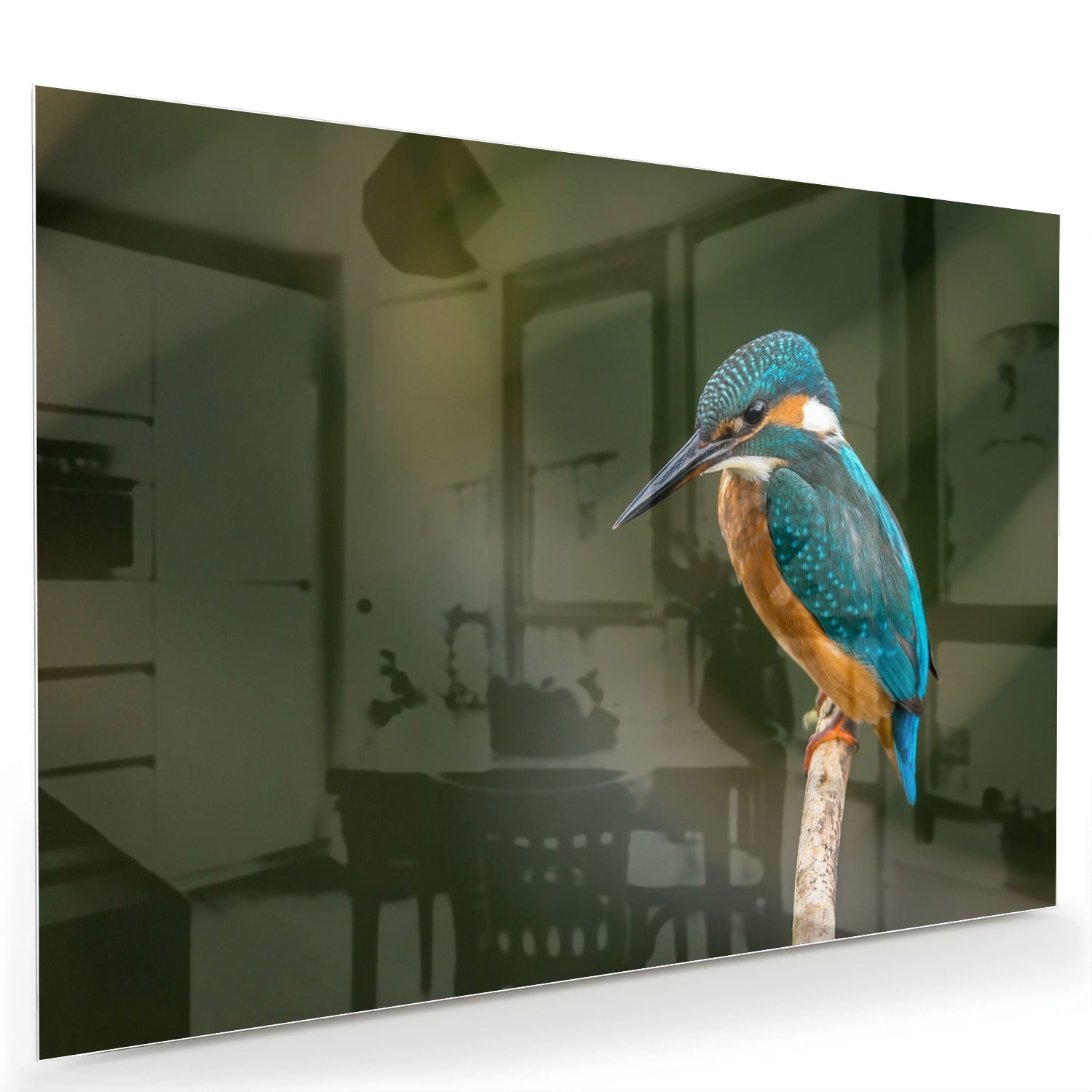 Elegantes Glasbild mit einem Eisvogel – Glasbild aus Sicherheitsglas, Größe 60x40