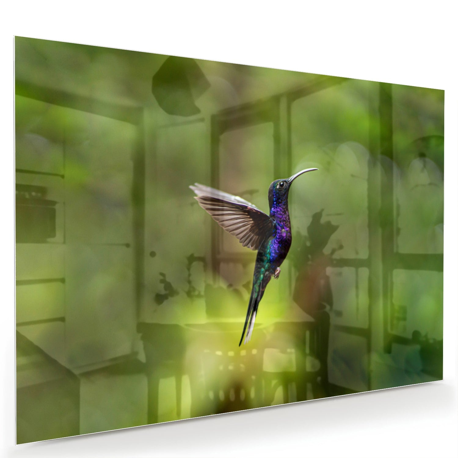 Glasbild mit fliegendem Kolibri inmitten grüner Ruhe – Glasbild aus Sicherheitsglas, Größe 60x40