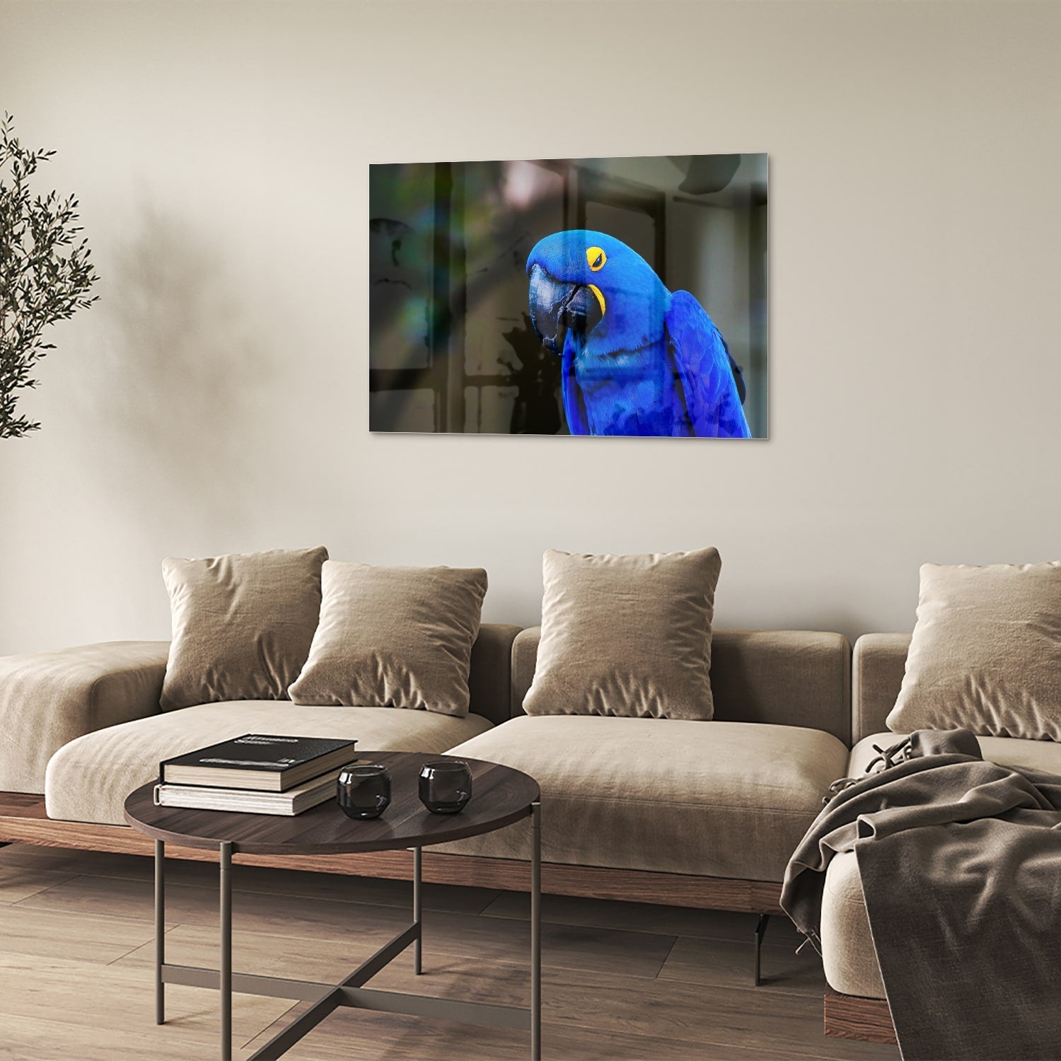 Glasbild mit einem wunderschönen blauen Ara – Glasbild aus Sicherheitsglas, Größe 50x50