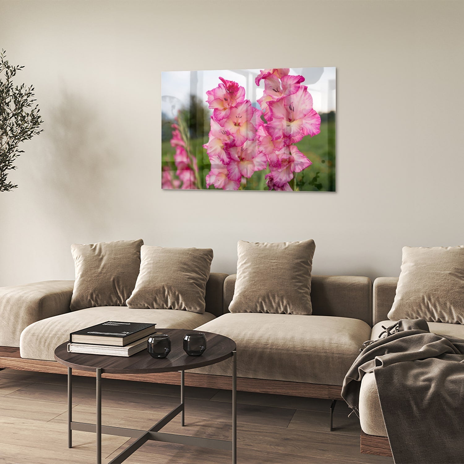 Glasbild mit wunderschönen rosa Gladiolen – Glasbild aus Sicherheitsglas, Größe 50x50
