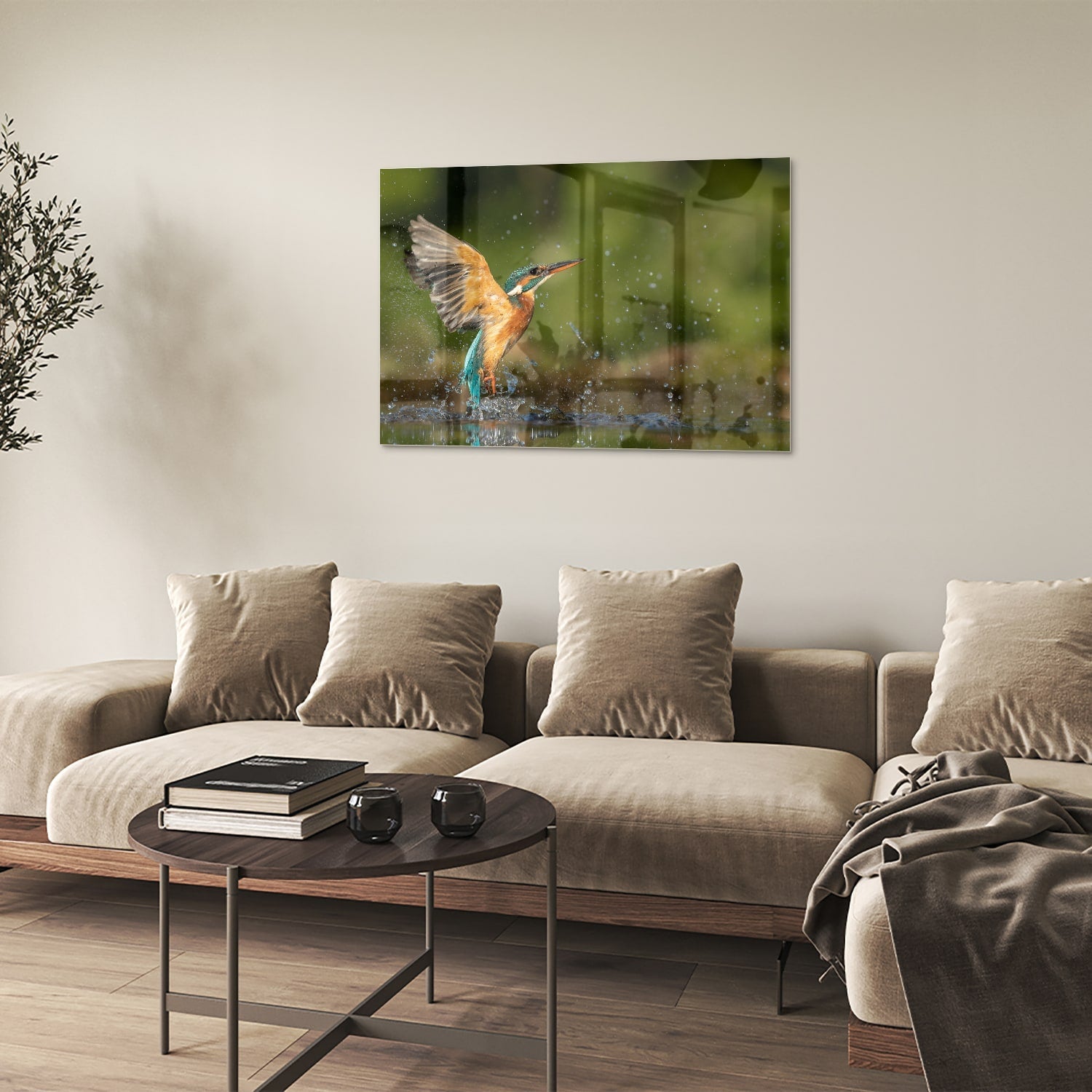 Glasbild mit einem farbenfrohen Eisvogel – Glasbild aus Sicherheitsglas, Größe 50x50