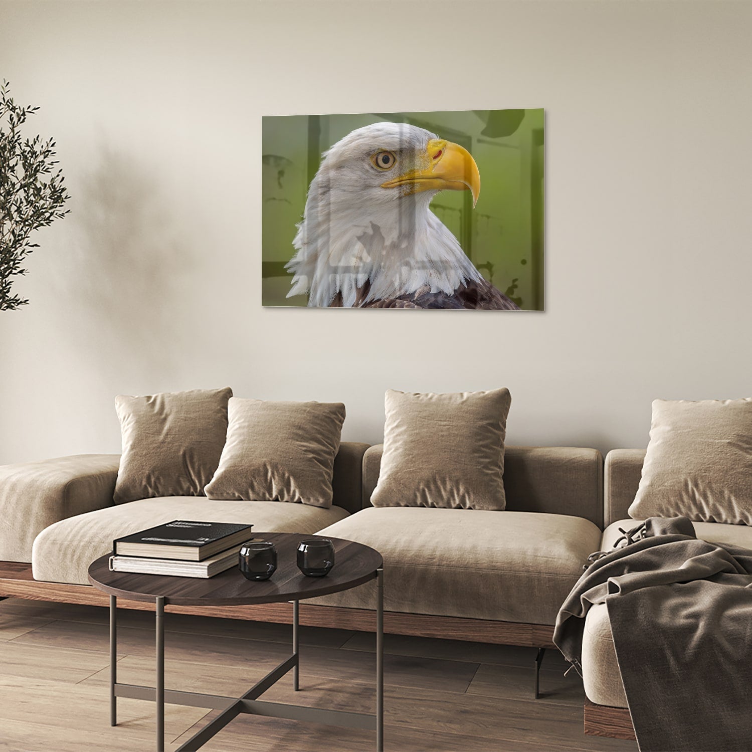 Glasbild mit majestätischem amerikanischen Weißkopfseeadler – Glasbild aus Sicherheitsglas, Größe 50x50