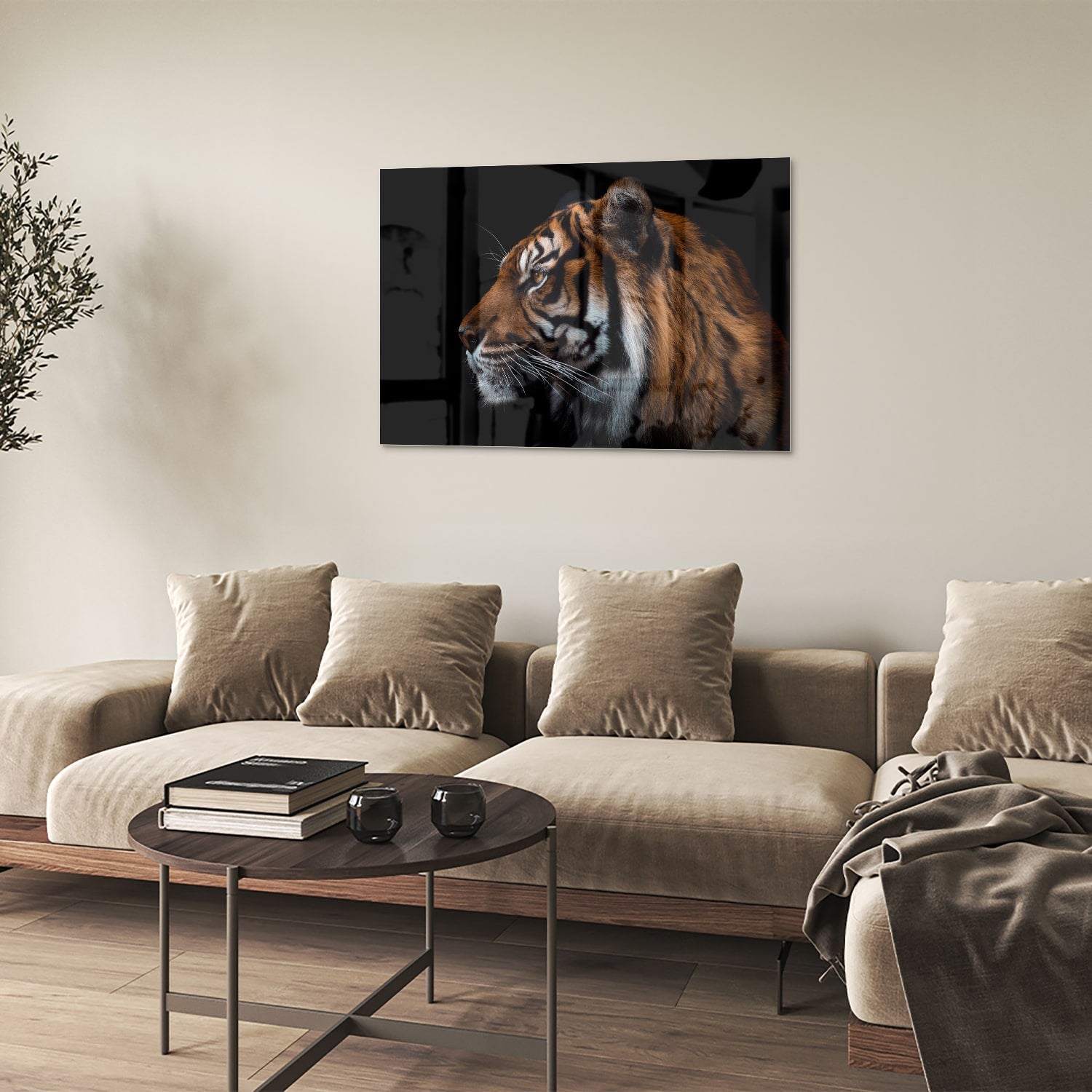 Glasbild mit majestätischen Tigern – Glasbild aus Sicherheitsglas, Größe 50x50