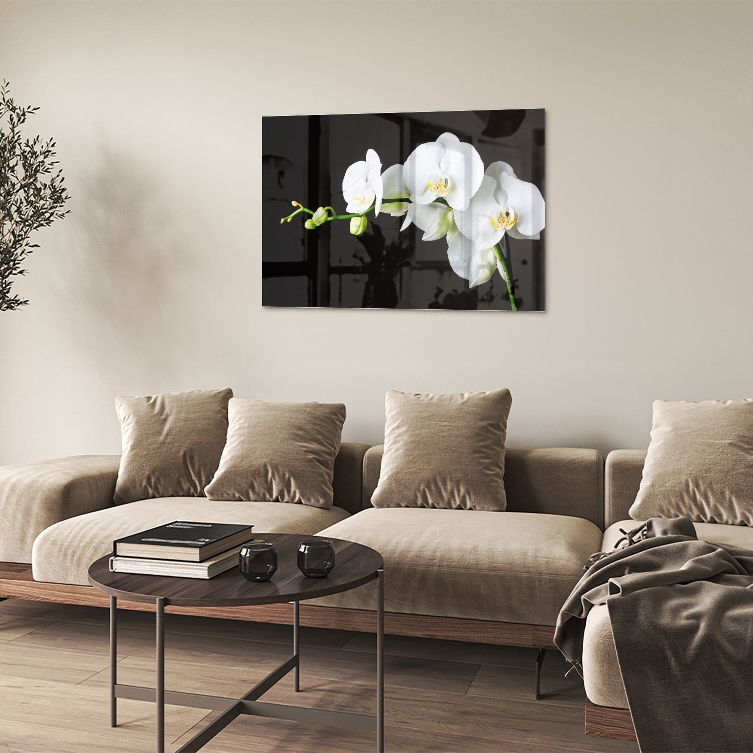Elegantes Glasbild mit weißen Orchideen – Glasbild aus Sicherheitsglas, Größe 50x50