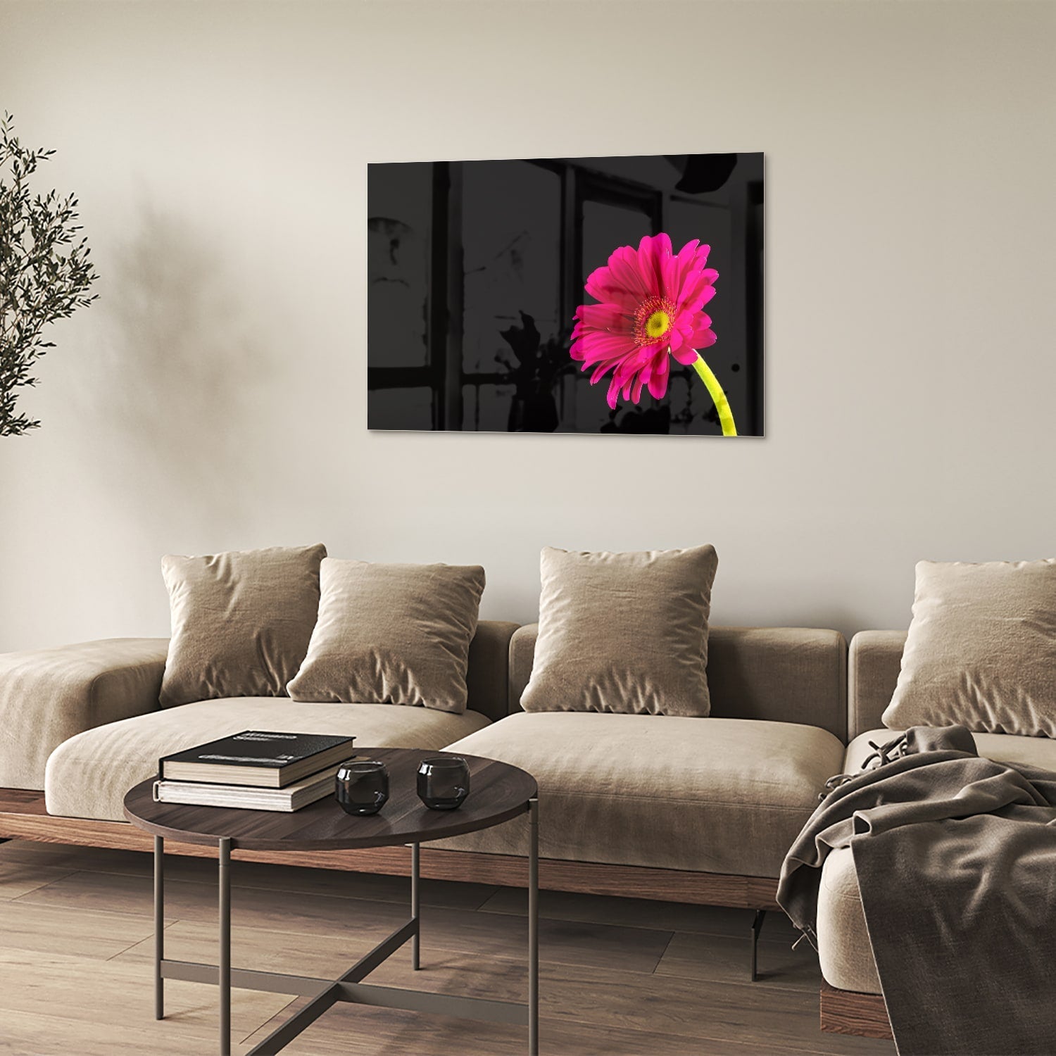 Glasbild – Wunderschöne rosa Gerbera auf schwarzem Hintergrund – Glasbild aus Sicherheitsglas, Größe 50x50