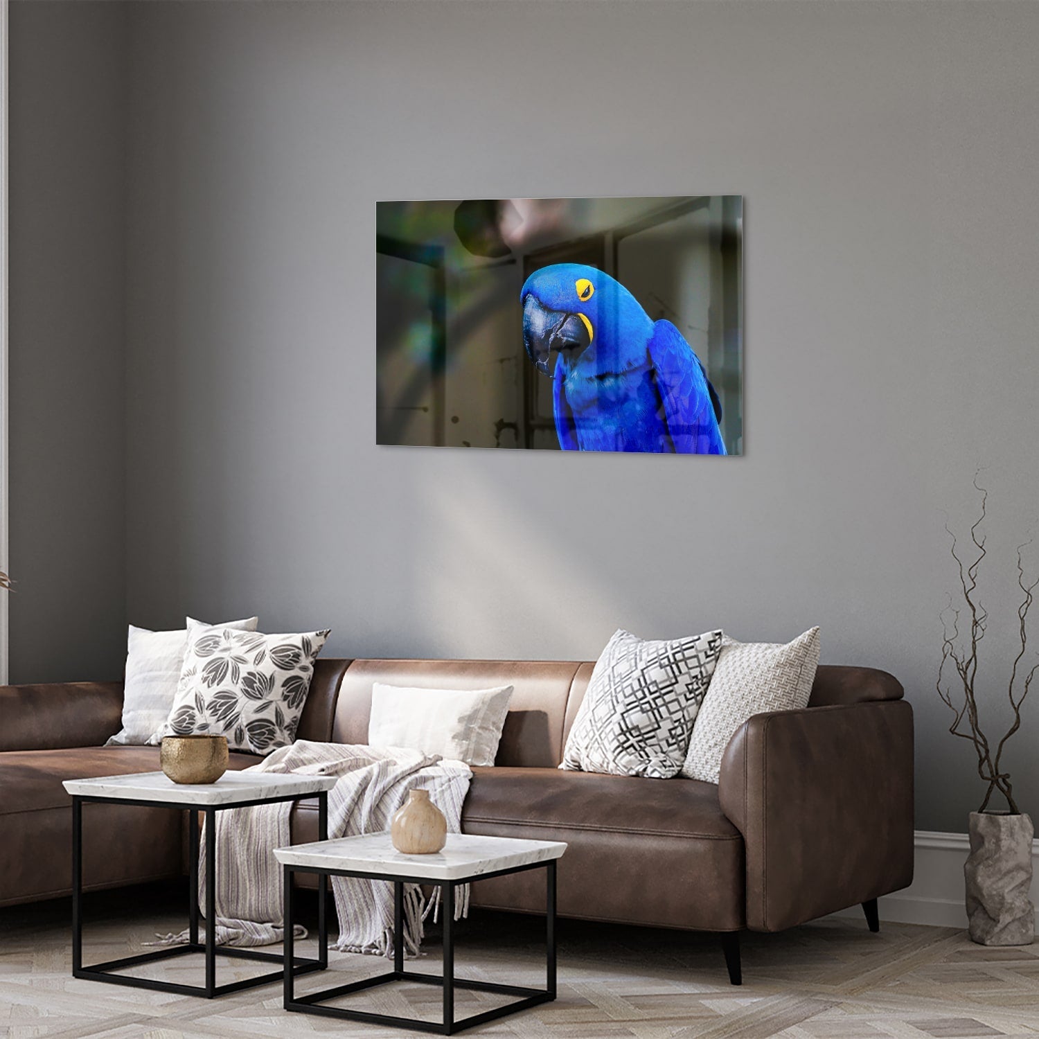 Glasbild mit einem wunderschönen blauen Ara – Glasbild aus Sicherheitsglas, Größe 50x50_rond
