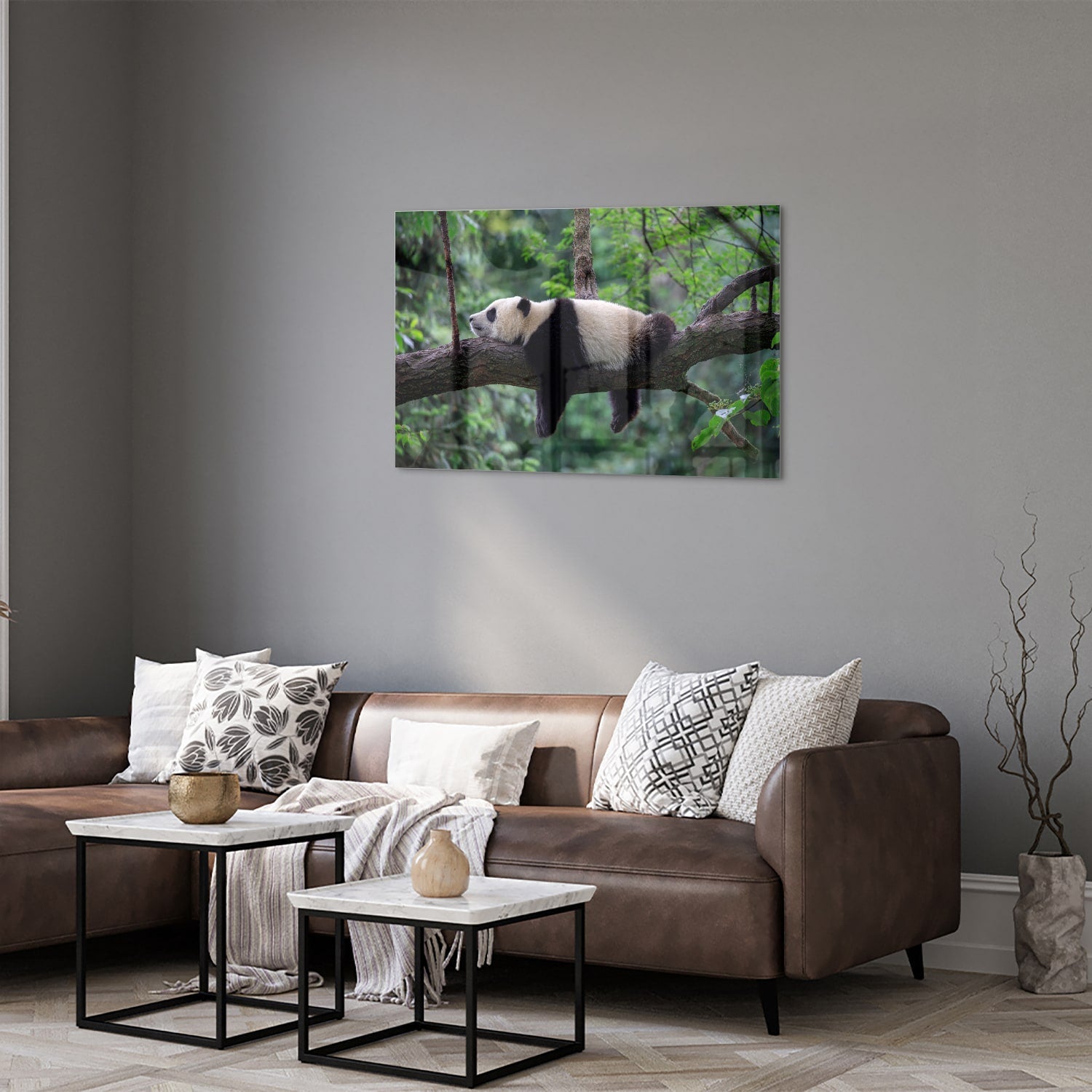 Glasbild mit entspanntem Panda auf einem Ast – Glasbild aus Sicherheitsglas, Größe 50x50_rond