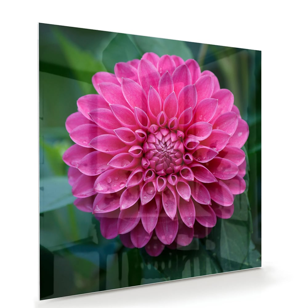 Wunderschönes Glasbild mit rosa Blume – Glasbild aus Sicherheitsglas, Größe 100x70