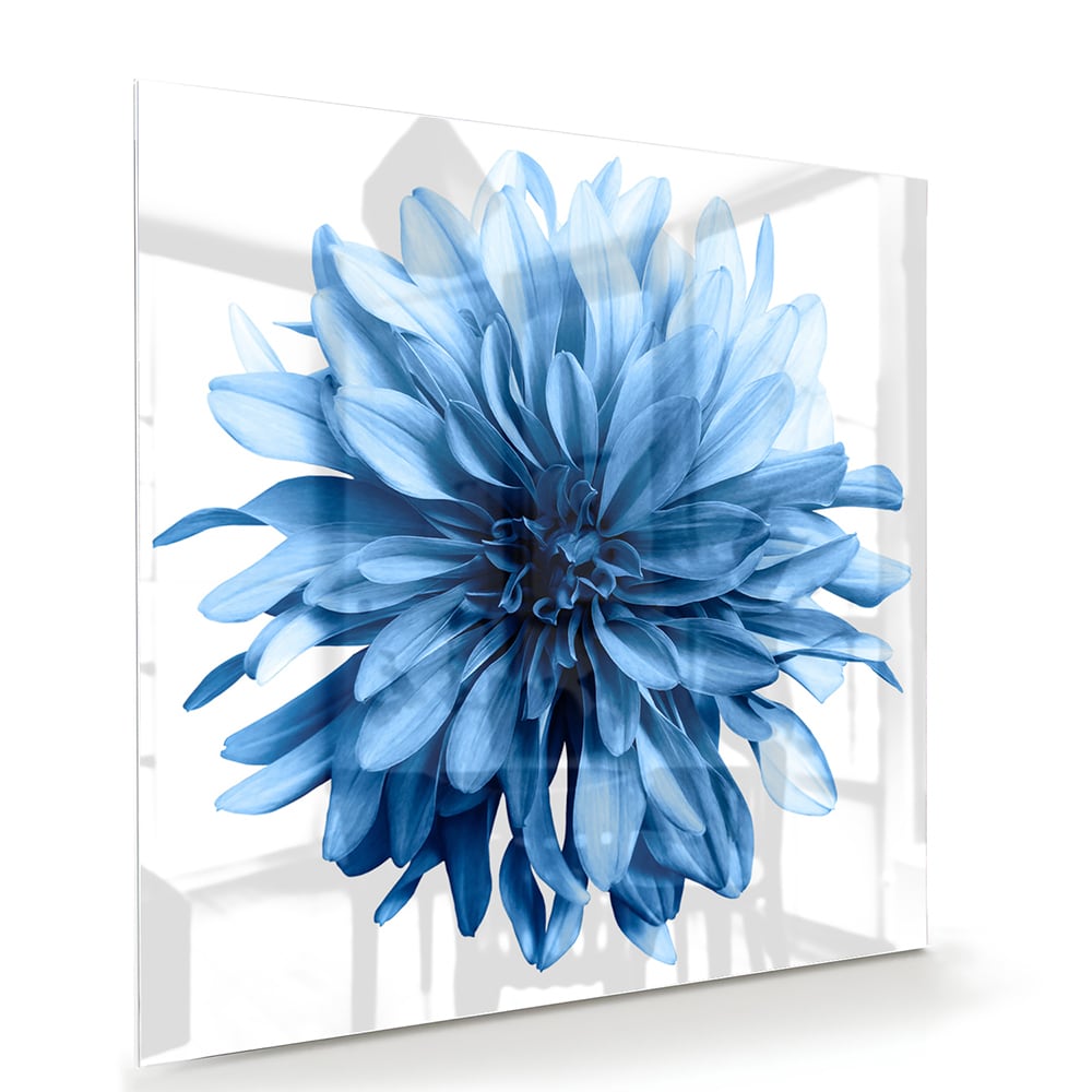 Blaues Glasbild mit einer Blume – Glasbild aus Sicherheitsglas, Größe 100x70