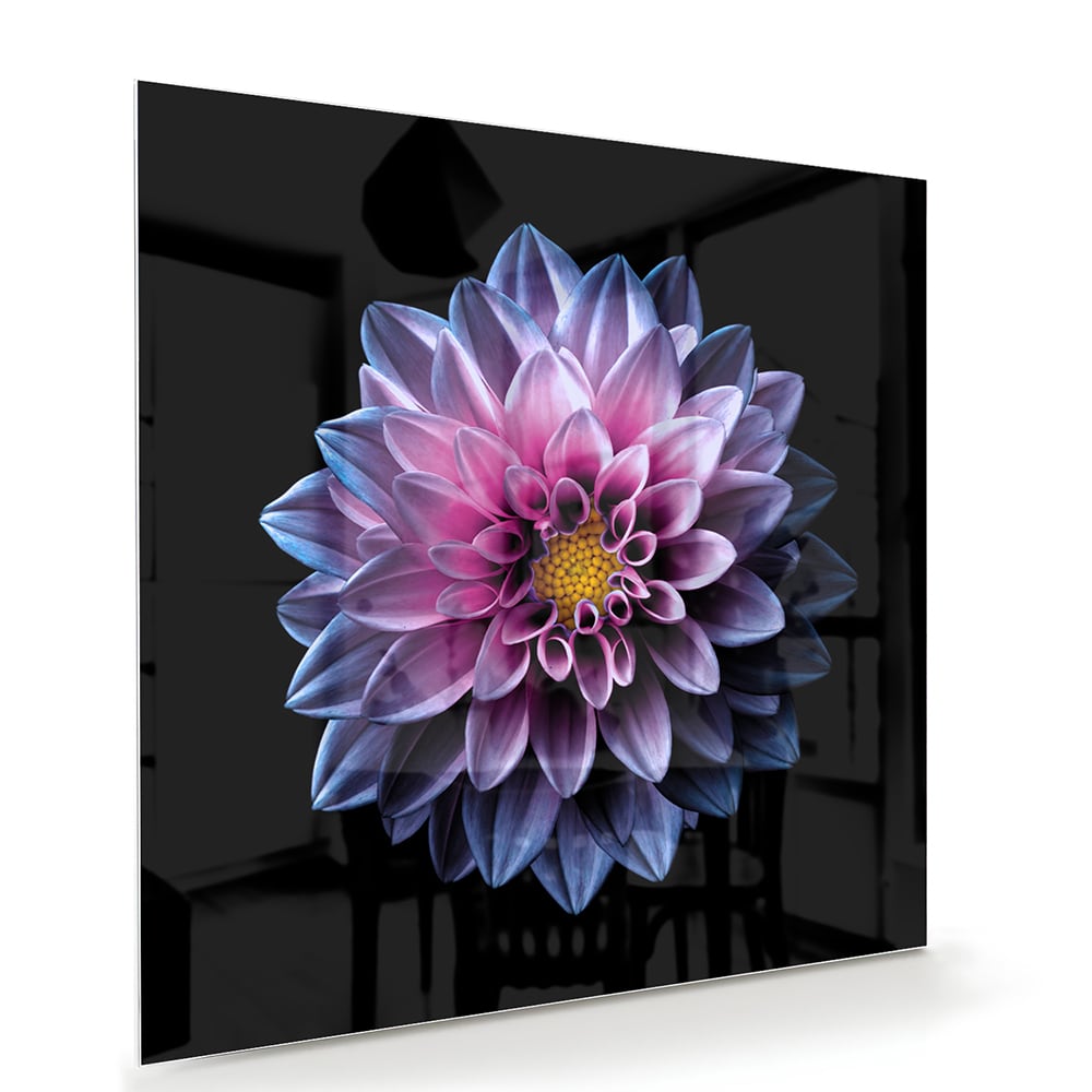 Elegantes Glasbild mit rosa Blume – Glasbild aus Sicherheitsglas, Größe 100x70
