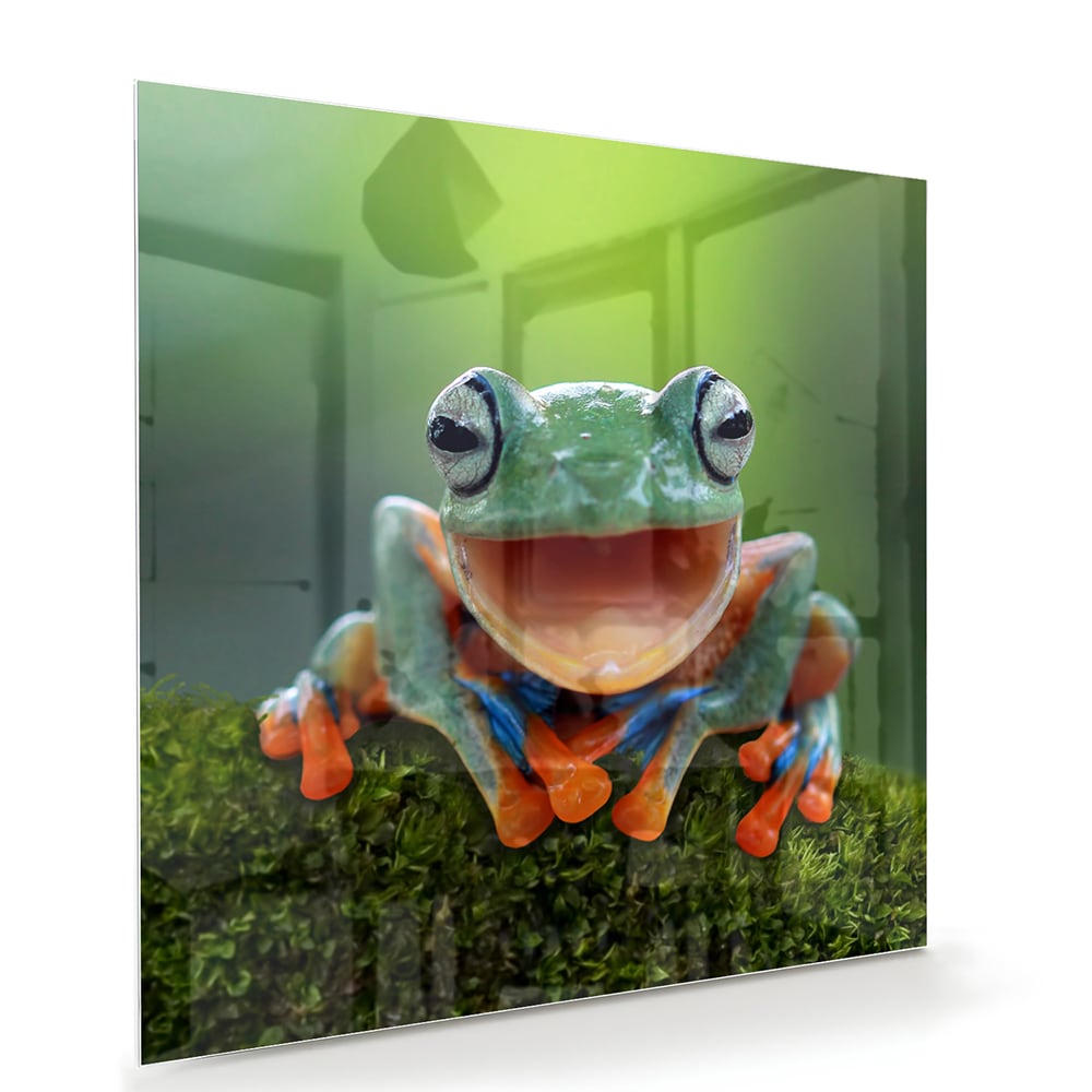 Fröhliches Glasbild mit Laubfrosch – Glasbild aus Sicherheitsglas, Größe 100x70