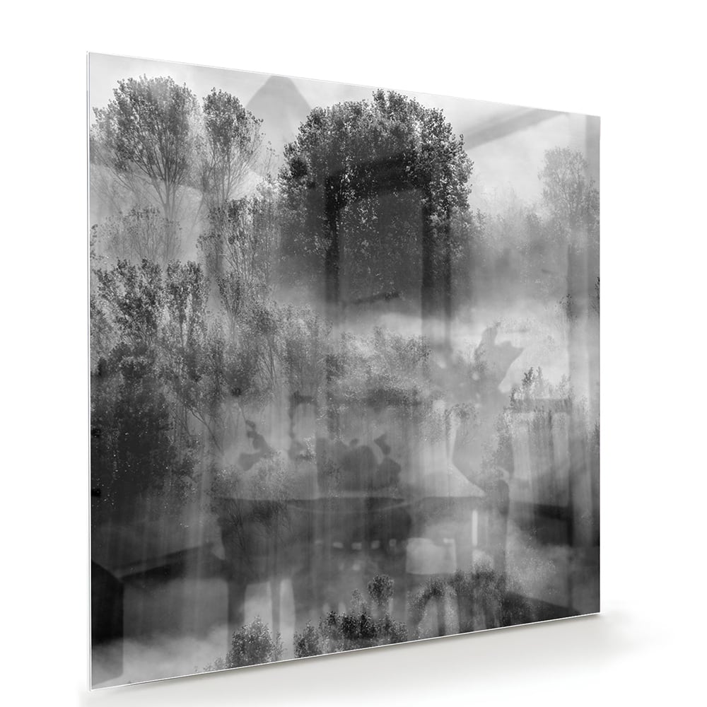 Abstraktes Schwarz-Weiß-Glasbild mit Bäumen – Glasbild aus Sicherheitsglas, Größe 100x70