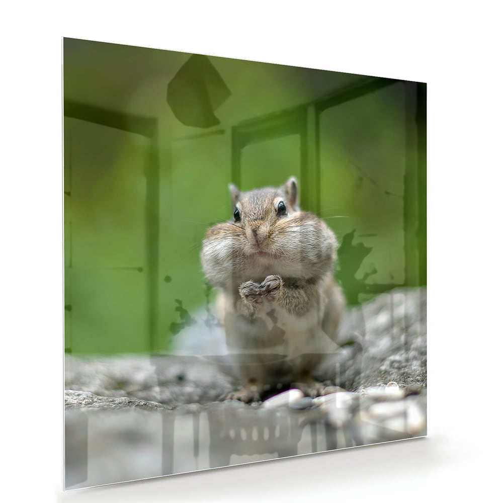 Niedliches Glasbild mit Eichhörnchen – Glasbild aus Sicherheitsglas, Größe 100x70
