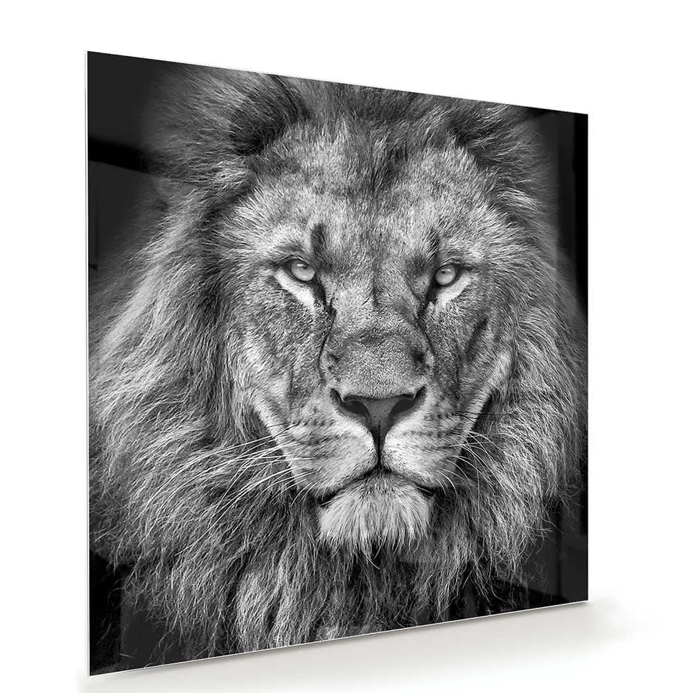 Beeindruckendes Glasbild mit einem Löwen – Glasbild aus Sicherheitsglas, Größe 100x70