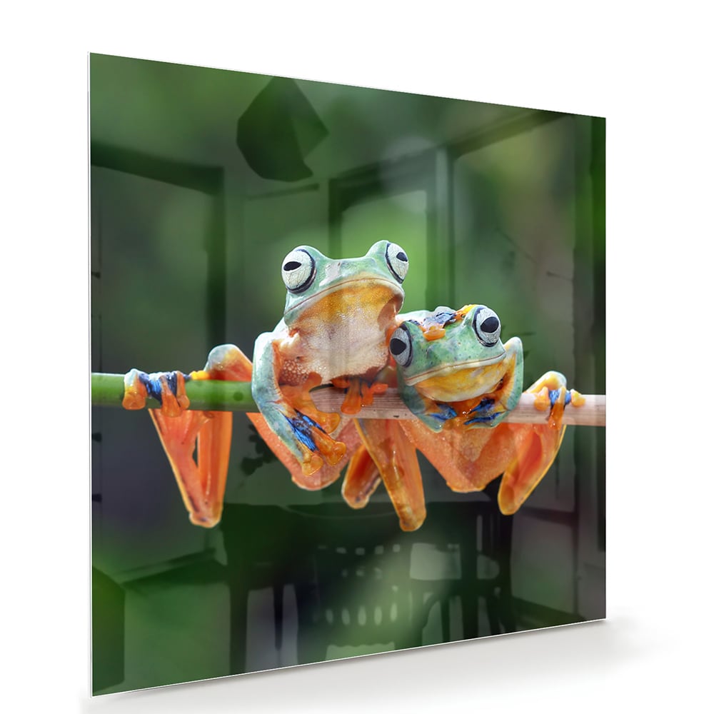 Fröhliches Glasbild mit Frosch auf einem Ast – Glasbild aus Sicherheitsglas, Größe 100x70
