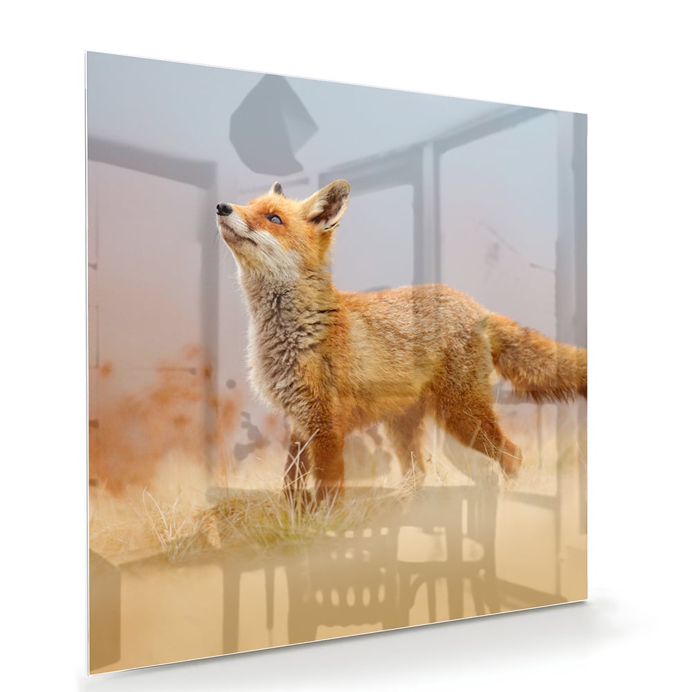 Stilvolles Glasbild mit einem Fuchs in der Natur – Glasbild aus Sicherheitsglas, Größe 100x70