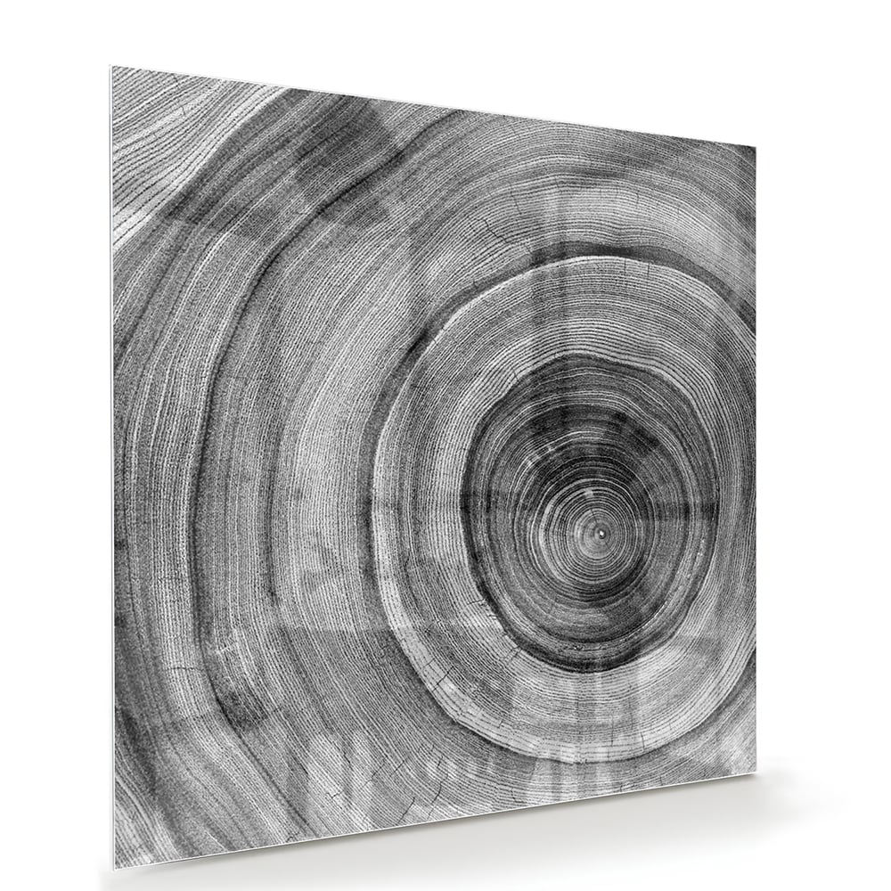 Abstraktes graues Glasbild mit Kreisen – Glasbild aus Sicherheitsglas, Größe 100x70