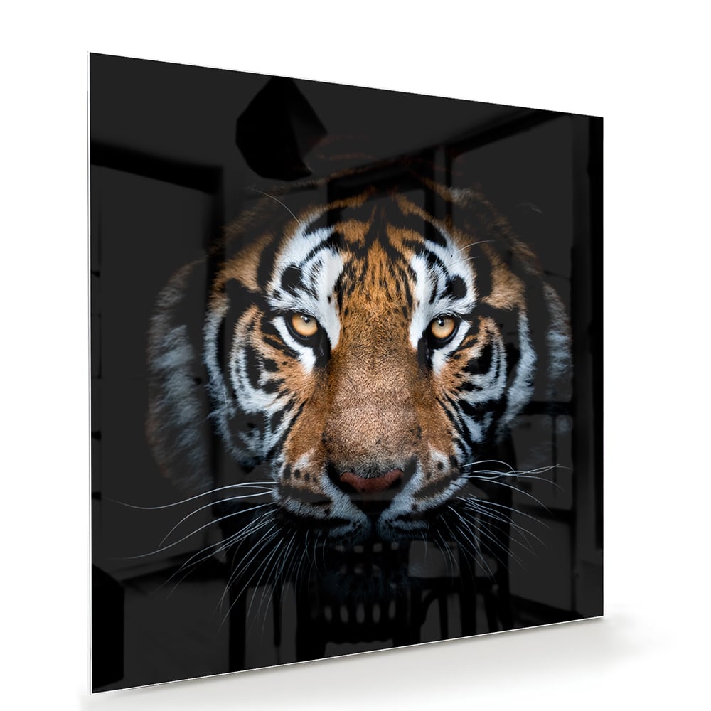 Beeindruckendes Glasbild mit einem Tigergesicht – Glasbild aus Sicherheitsglas, Größe 100x70