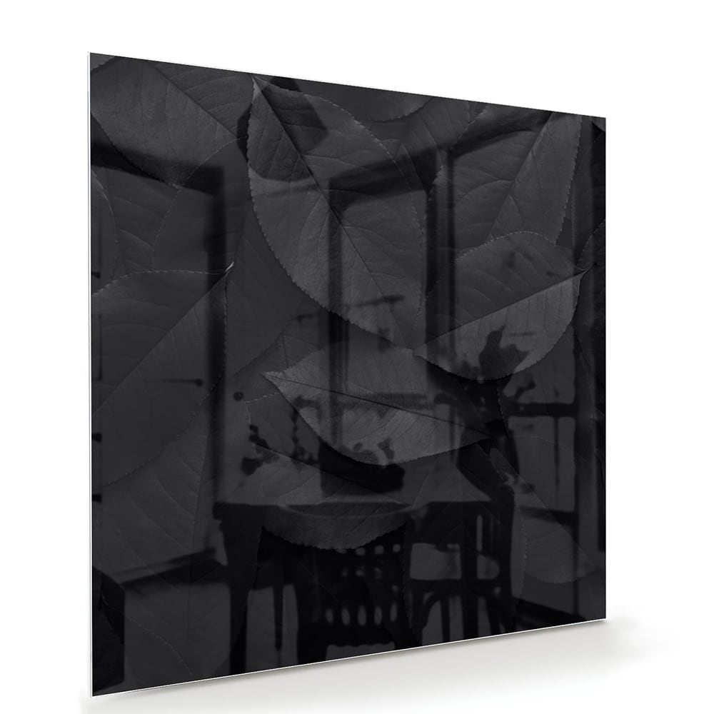 Elegantes Glasbild mit Blättern in Schwarz und Grau – Glasbild aus Sicherheitsglas, Größe 100x70