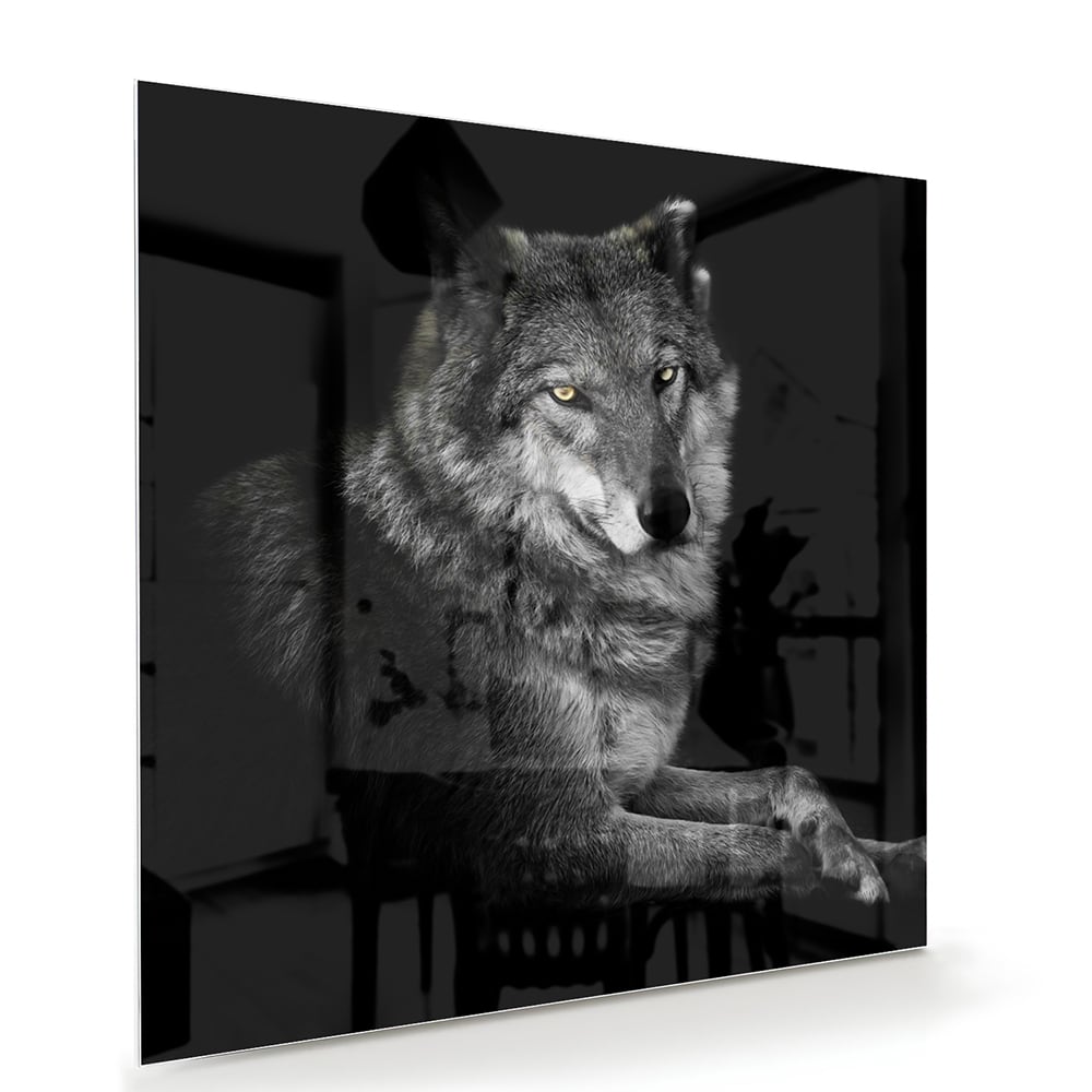 Glasbild mit einem majestätischen Wolf – Glasbild aus Sicherheitsglas, Größe 100x70