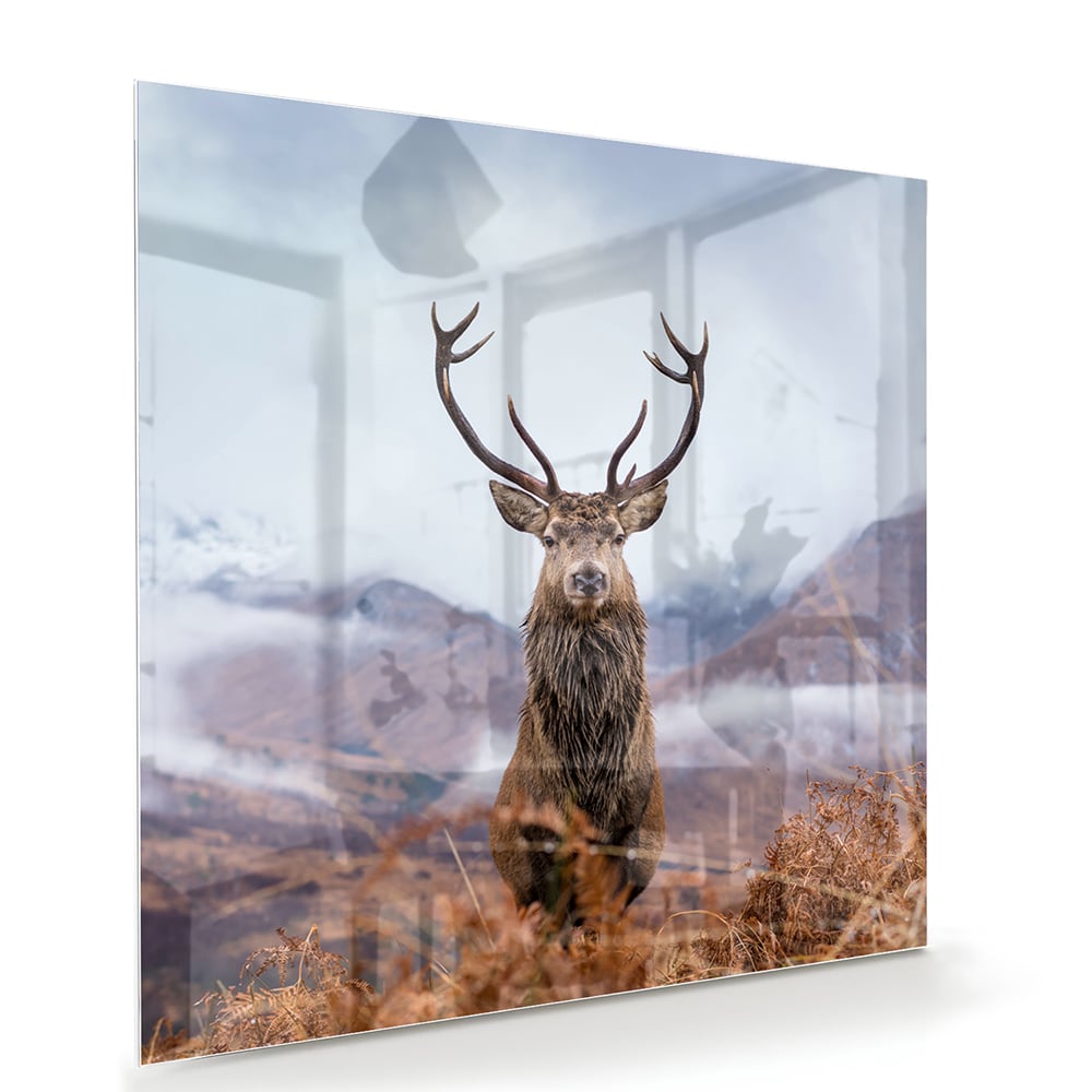 Glasbild mit majestätischem Hirsch in einer ruhigen Berglandschaft – Glasbild aus Sicherheitsglas, Größe 100x70