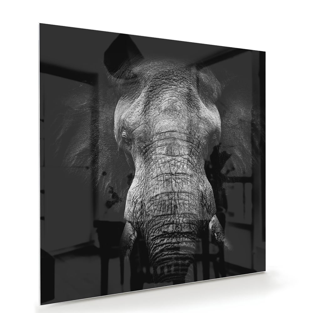 Beeindruckendes Glasbild mit einem Elefanten – Glasbild aus Sicherheitsglas, Größe 100x70