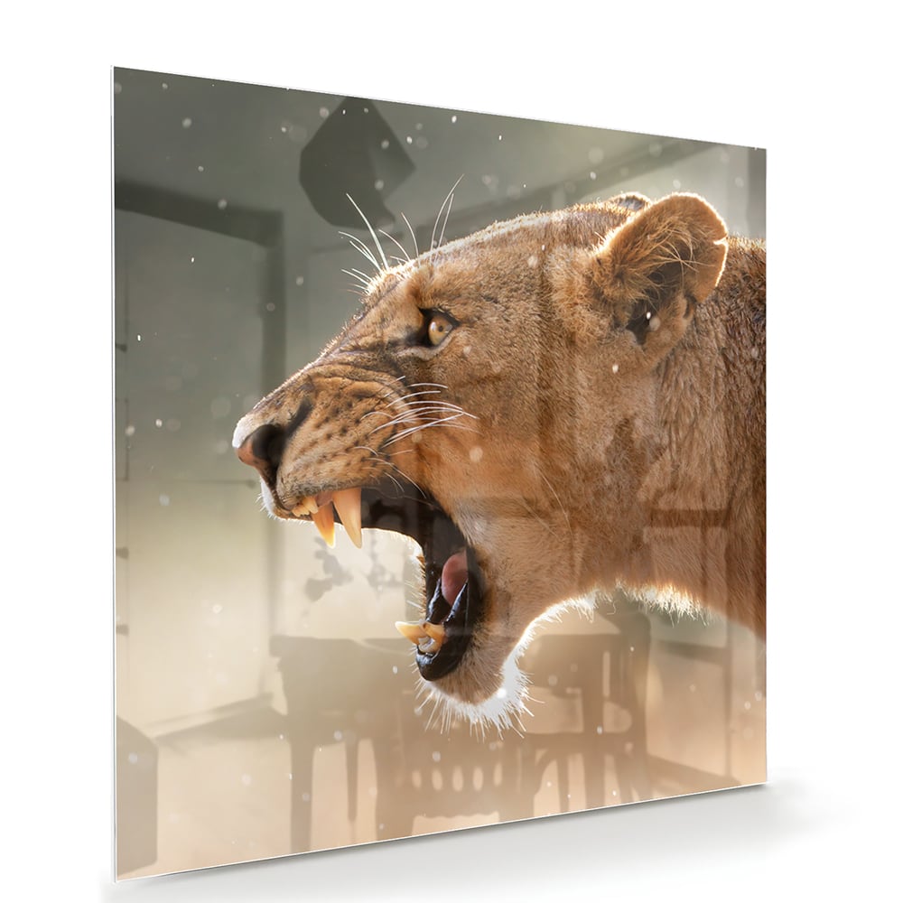 Beeindruckendes Glasbild mit einem brüllenden Löwen – Glasbild aus Sicherheitsglas, Größe 100x70