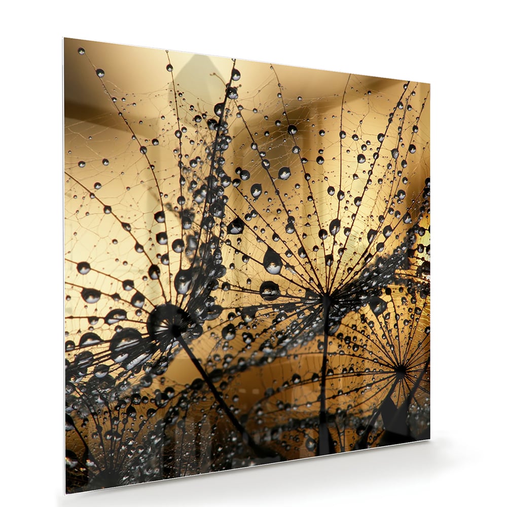 Glasbild mit goldenen Wassertropfen – Glasbild aus Sicherheitsglas, Größe 100x70