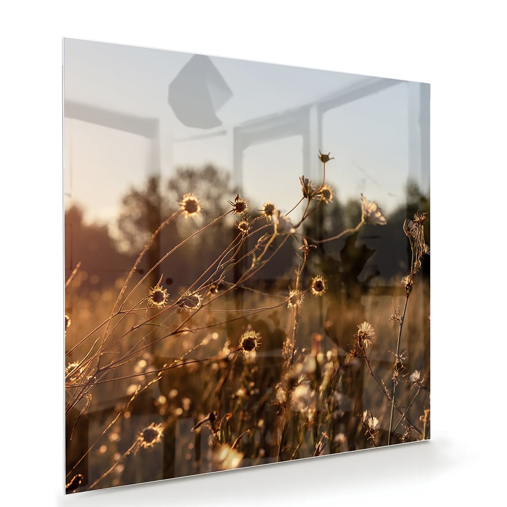Zauberhaftes Glasbild mit goldenem Sonnenuntergang – Glasbild aus Sicherheitsglas, Größe 100x70