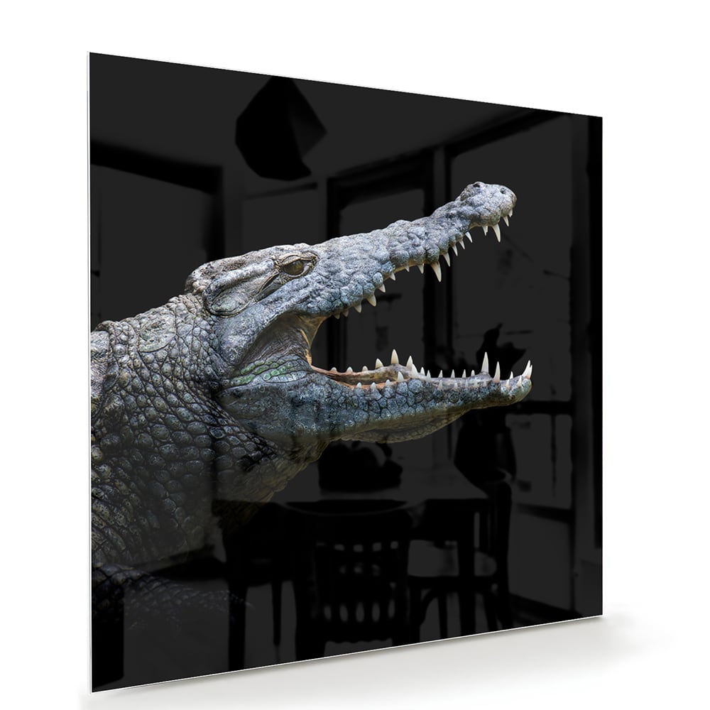 Beeindruckendes Glasbild mit einem Krokodil – Glasbild aus Sicherheitsglas, Größe 100x70