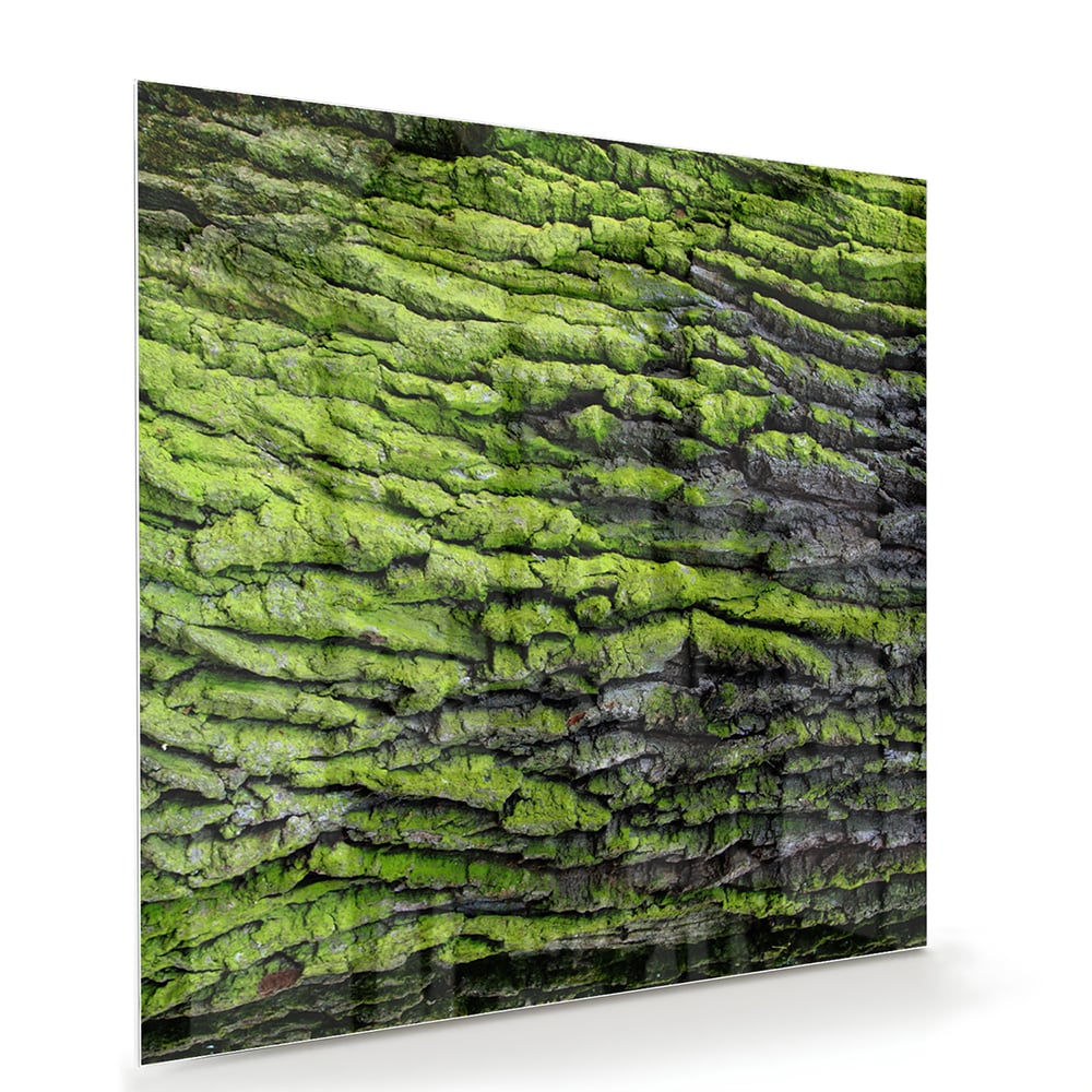 Glasbild mit moosartiger Textur – Glasbild aus Sicherheitsglas, Größe 100x70
