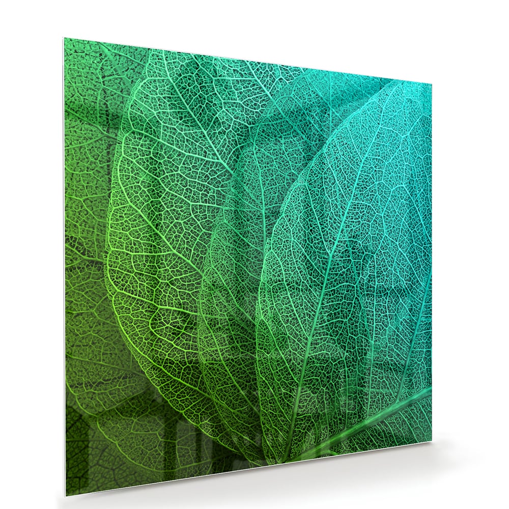 Glasbild mit strukturierter Oberfläche aus grünen Blättern – Glasbild aus Sicherheitsglas, Größe 100x70