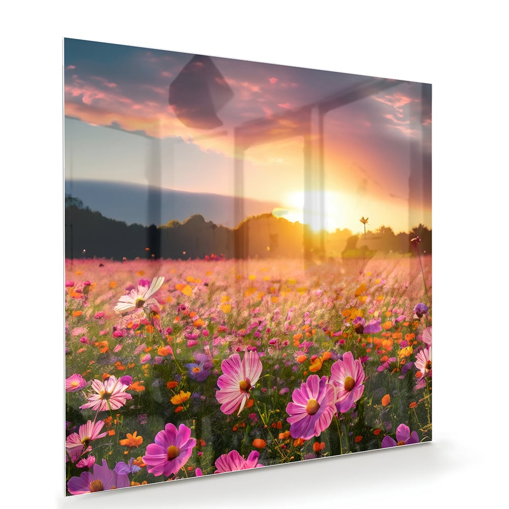 Glasbild – Sonnenuntergang über Blumenfeld – Glasbild aus Sicherheitsglas, Größe 100x70
