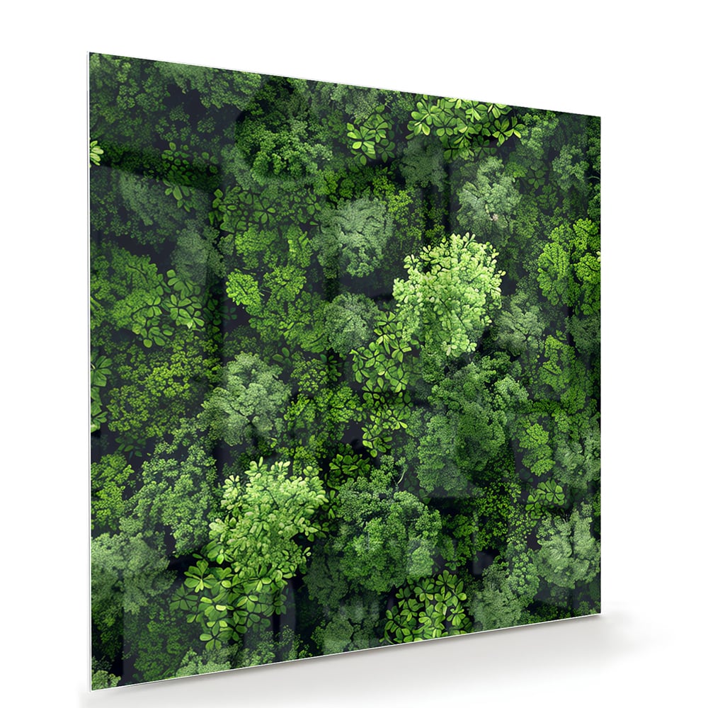 Glasbild mit Himmelsmotiv und üppigem grünen Wald – Glasbild aus Sicherheitsglas, Größe 100x70