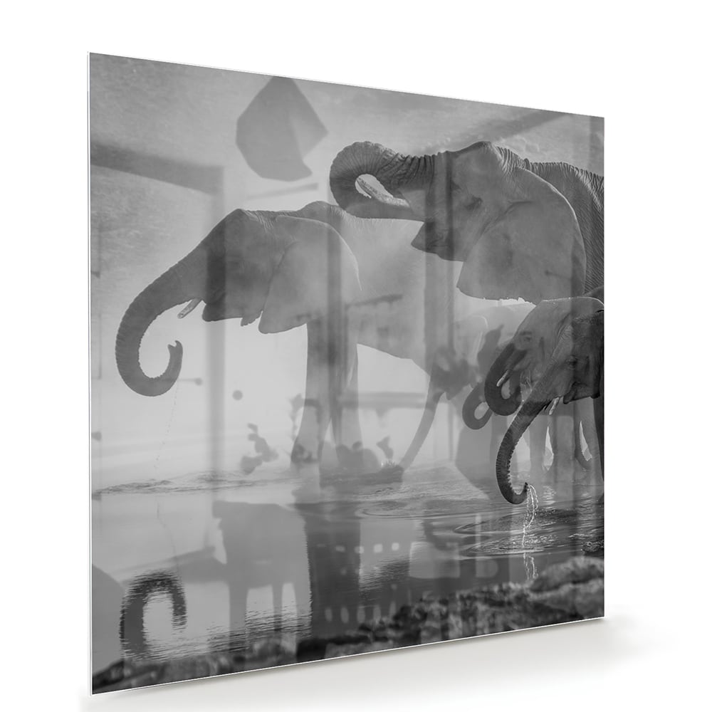 Glasbild mit majestätischen Elefanten – Glasbild aus Sicherheitsglas, Größe 100x70